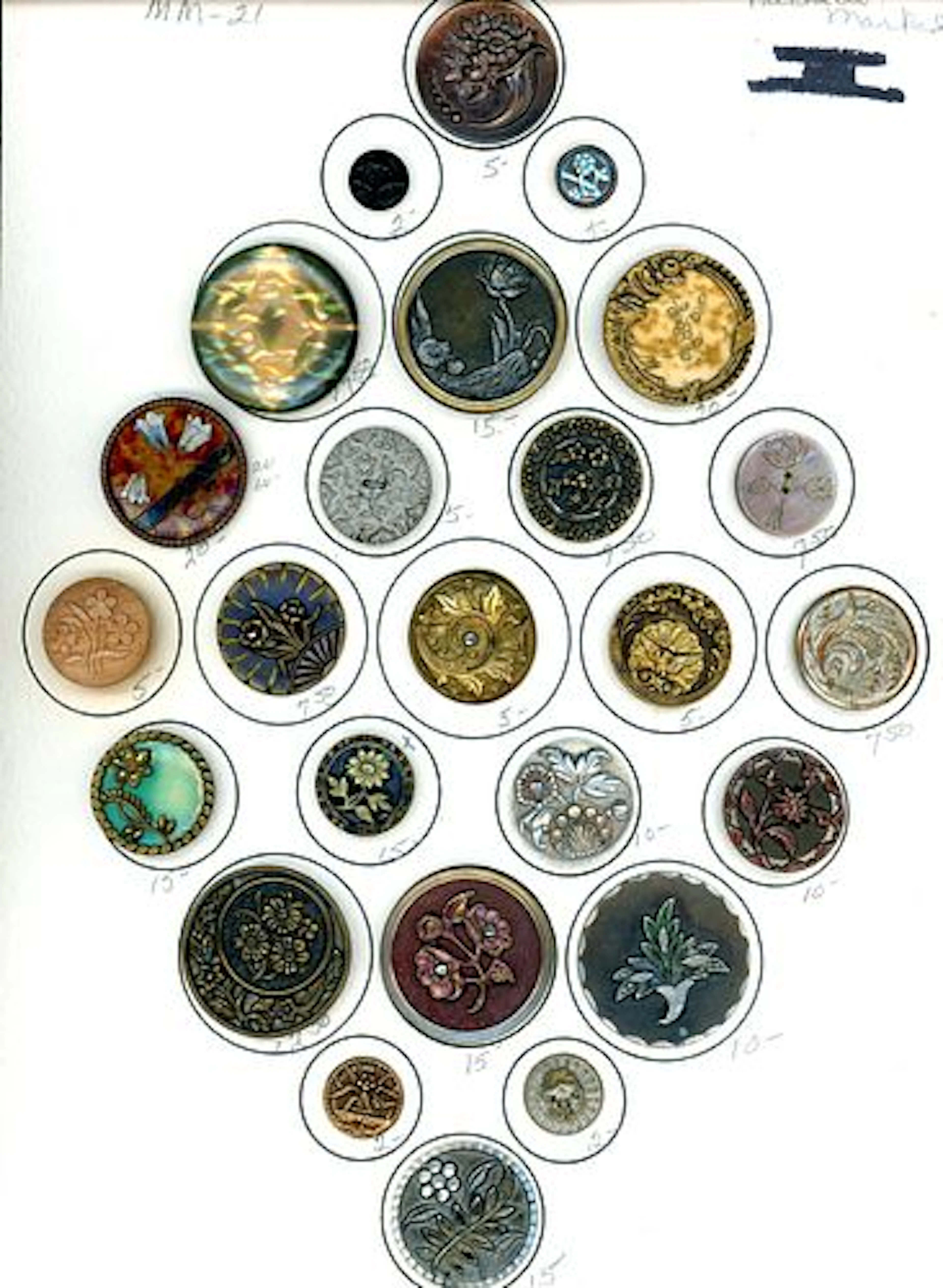 A CARD OF DIVISION ONE PLANT LIFE BUTTONS