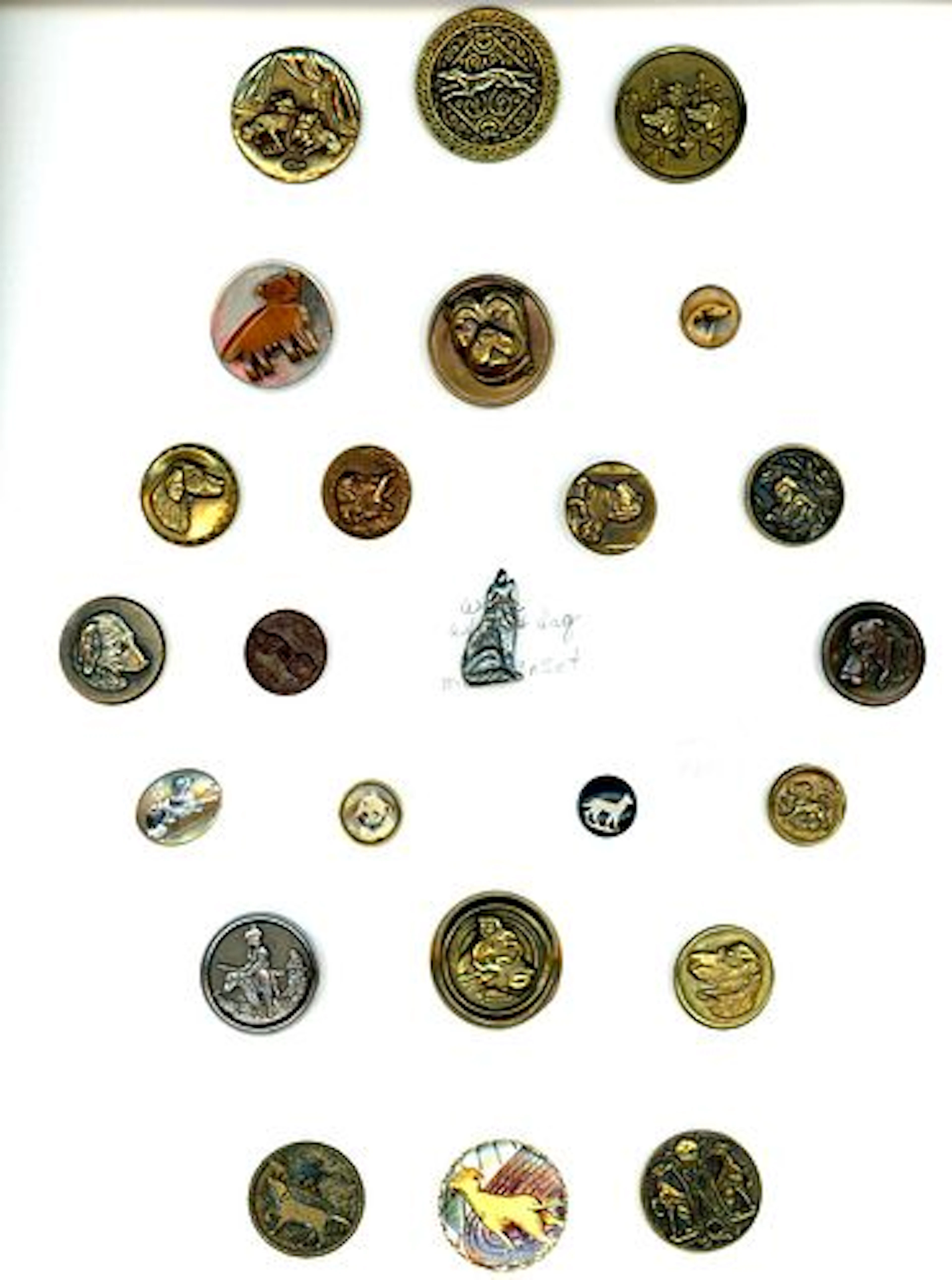 A CARD OF DIVISION 1 & 3 DOG BUTTONS