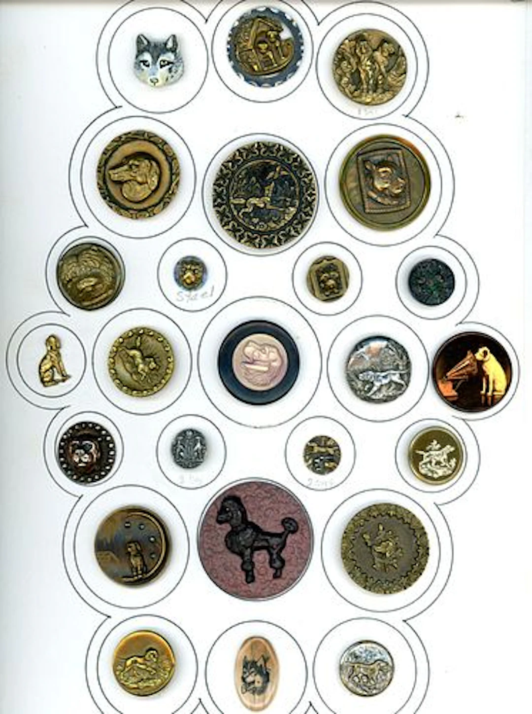 A CARD OF DIVISION 1 & 3 DOG BUTTONS