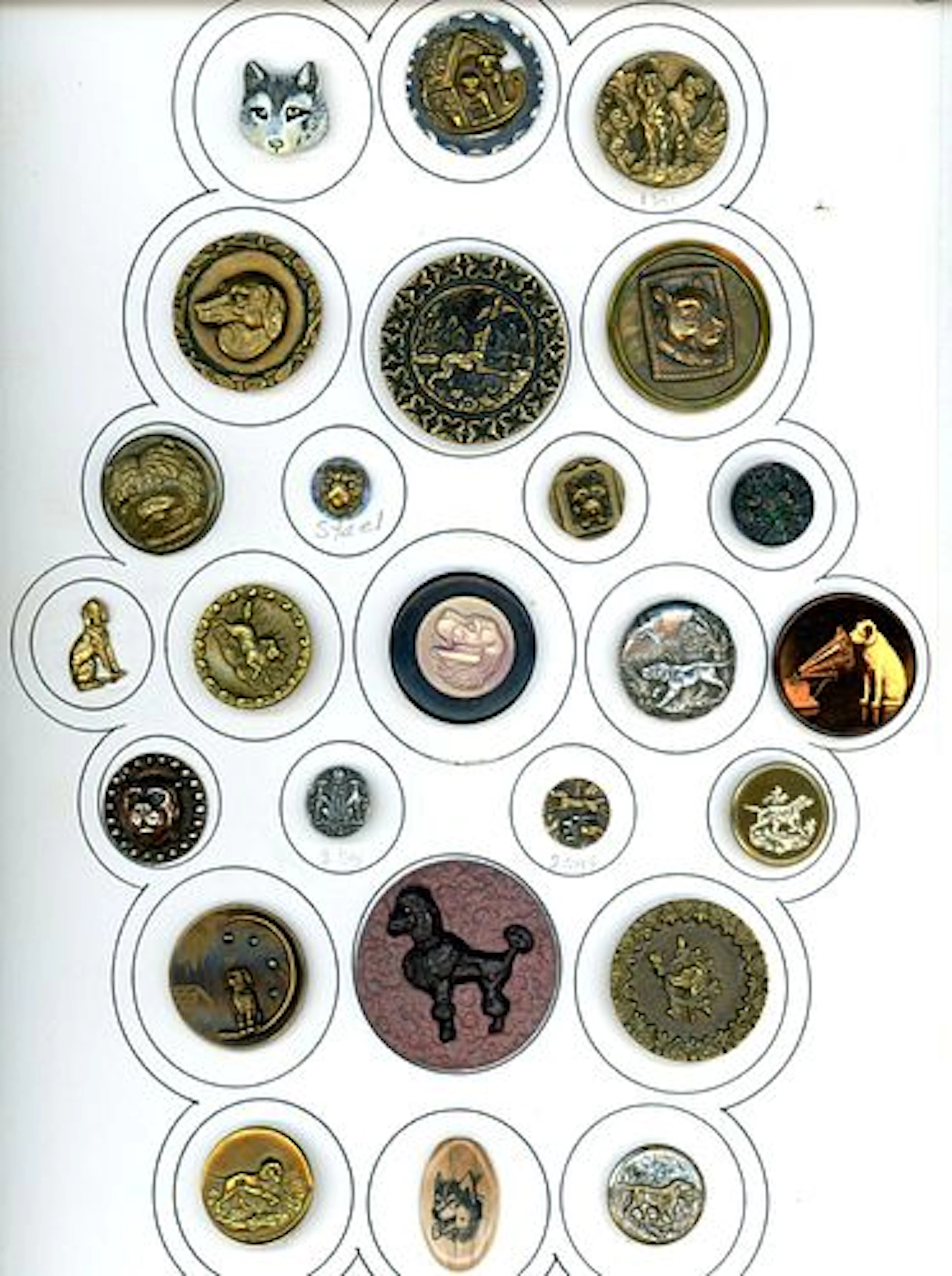 A CARD OF DIVISION 1 & 3 DOG BUTTONS