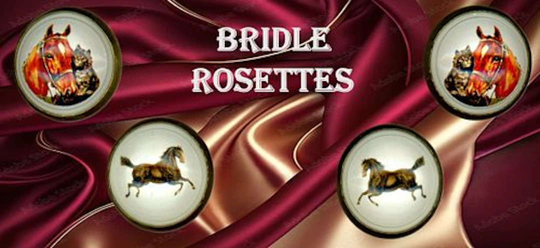 A SMALL SELECTION OF BRIDLE ROSETTES
