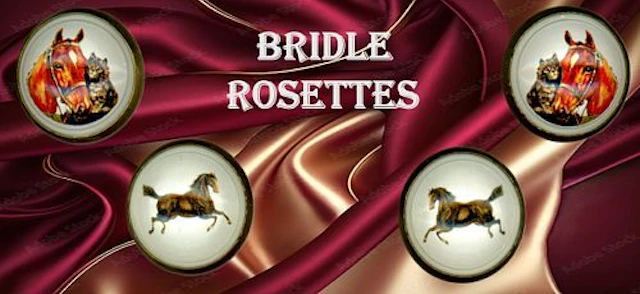 A SMALL SELECTION OF BRIDLE ROSETTES