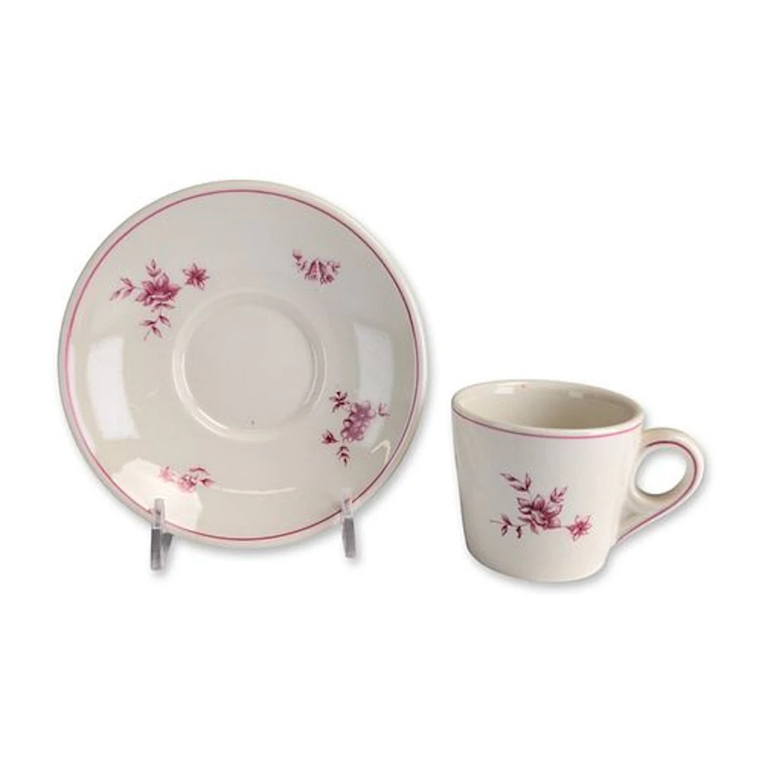 2pc Petrus Regout Holland-America Line (NASM) Demitasse and Saucer Set