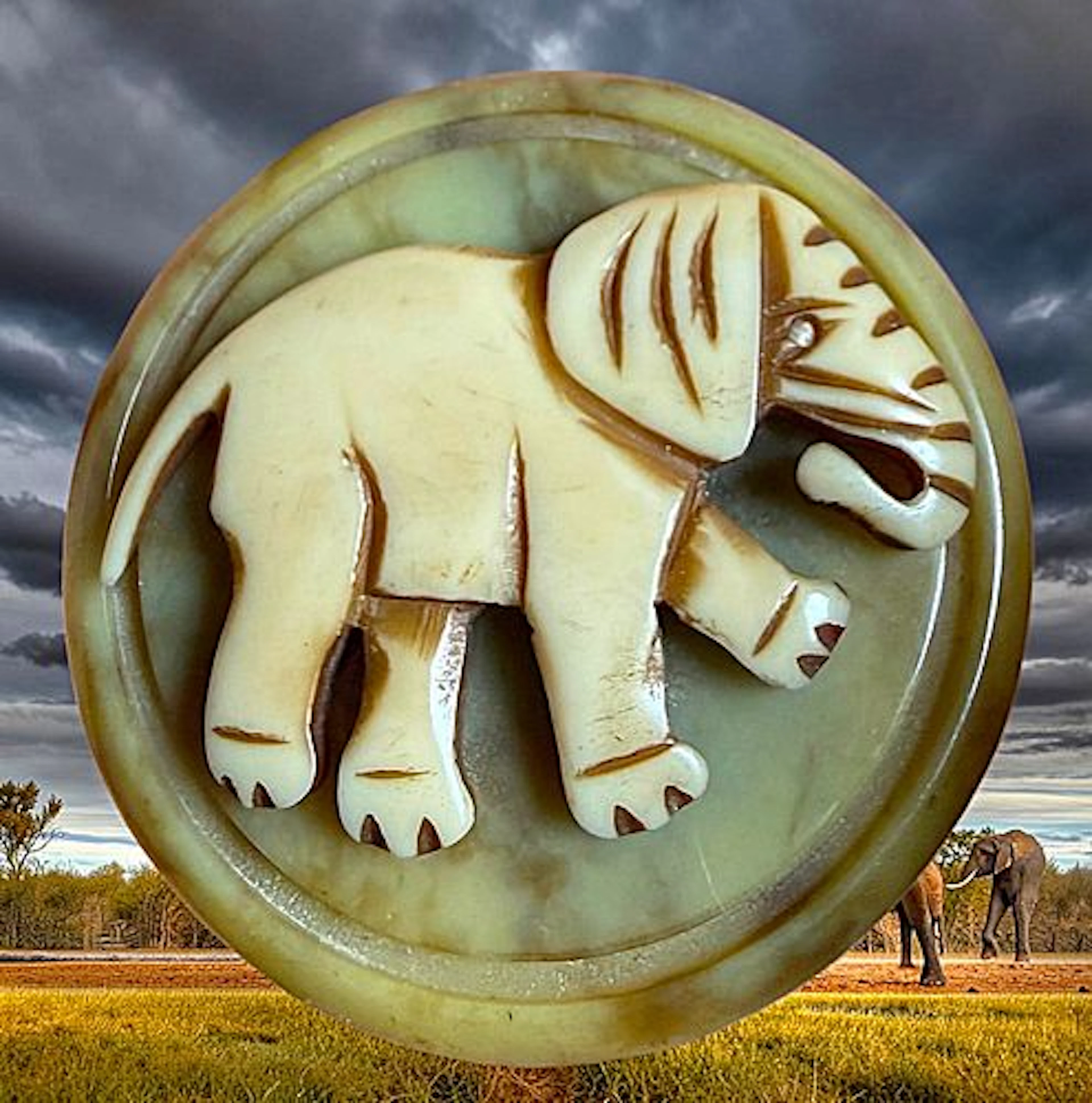 A DIVISION ONE CASEIN ANIMAL BUTTON