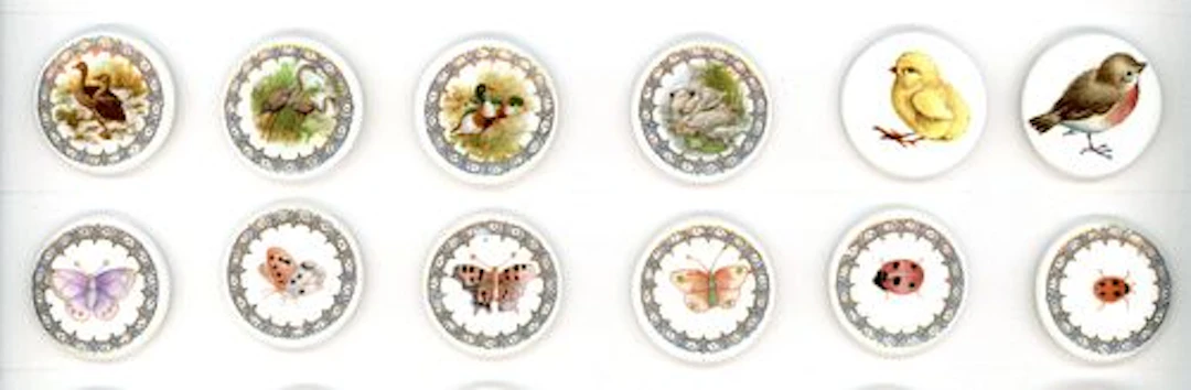 A SMALL CARD OF DIVISION THREE ENGLISH CERAMIC BUTTONS
