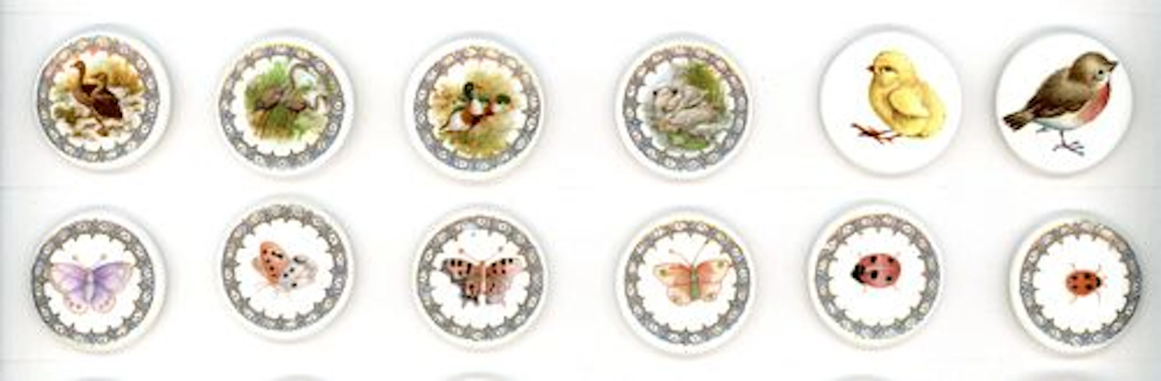 A SMALL CARD OF DIVISION THREE ENGLISH CERAMIC BUTTONS
