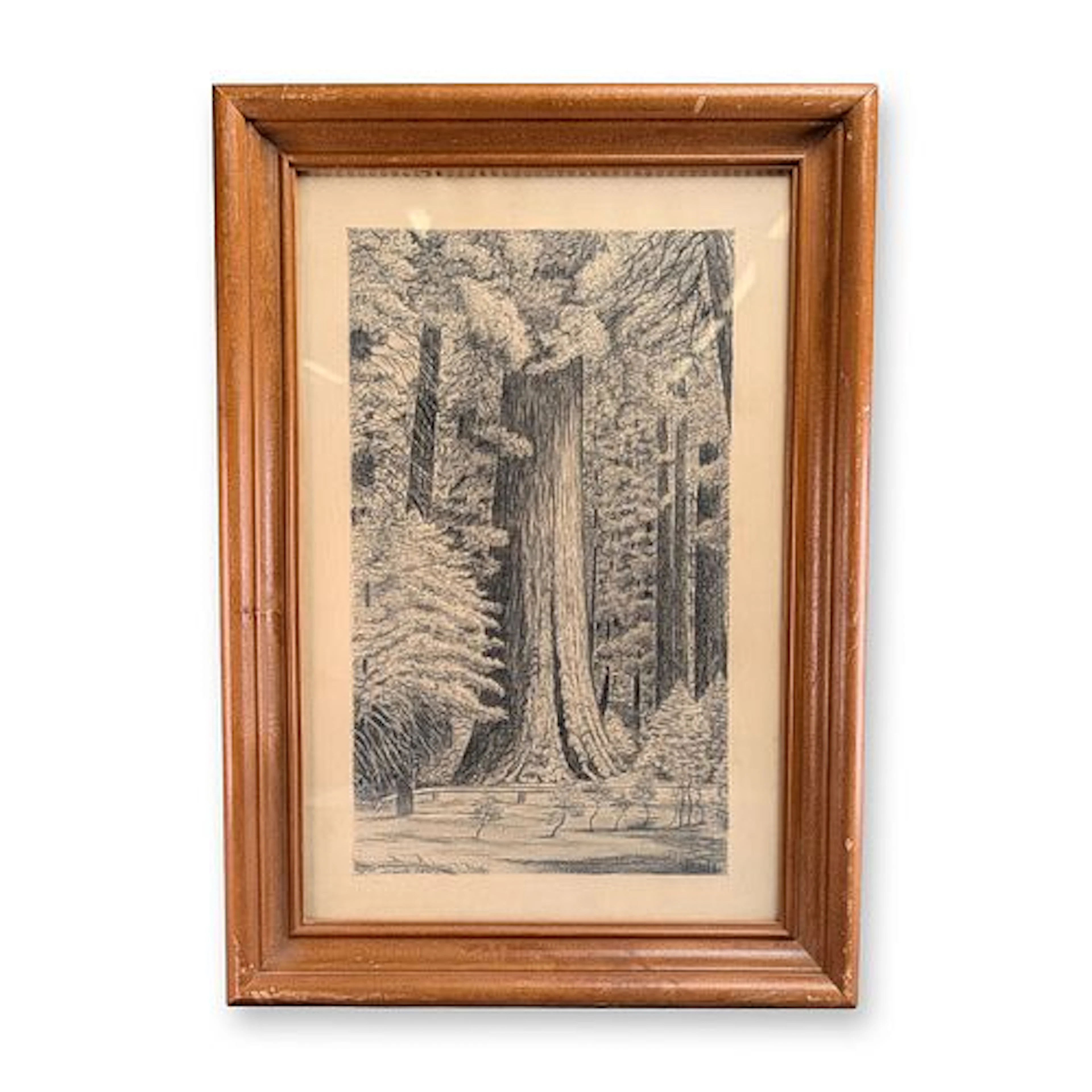 W. Steel (American 19th-20th century) Charcoal Drawing on Paper, Giant