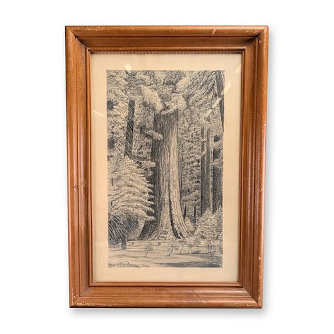 W. Steel (American 19th-20th century) Charcoal Drawing on Paper, Giant