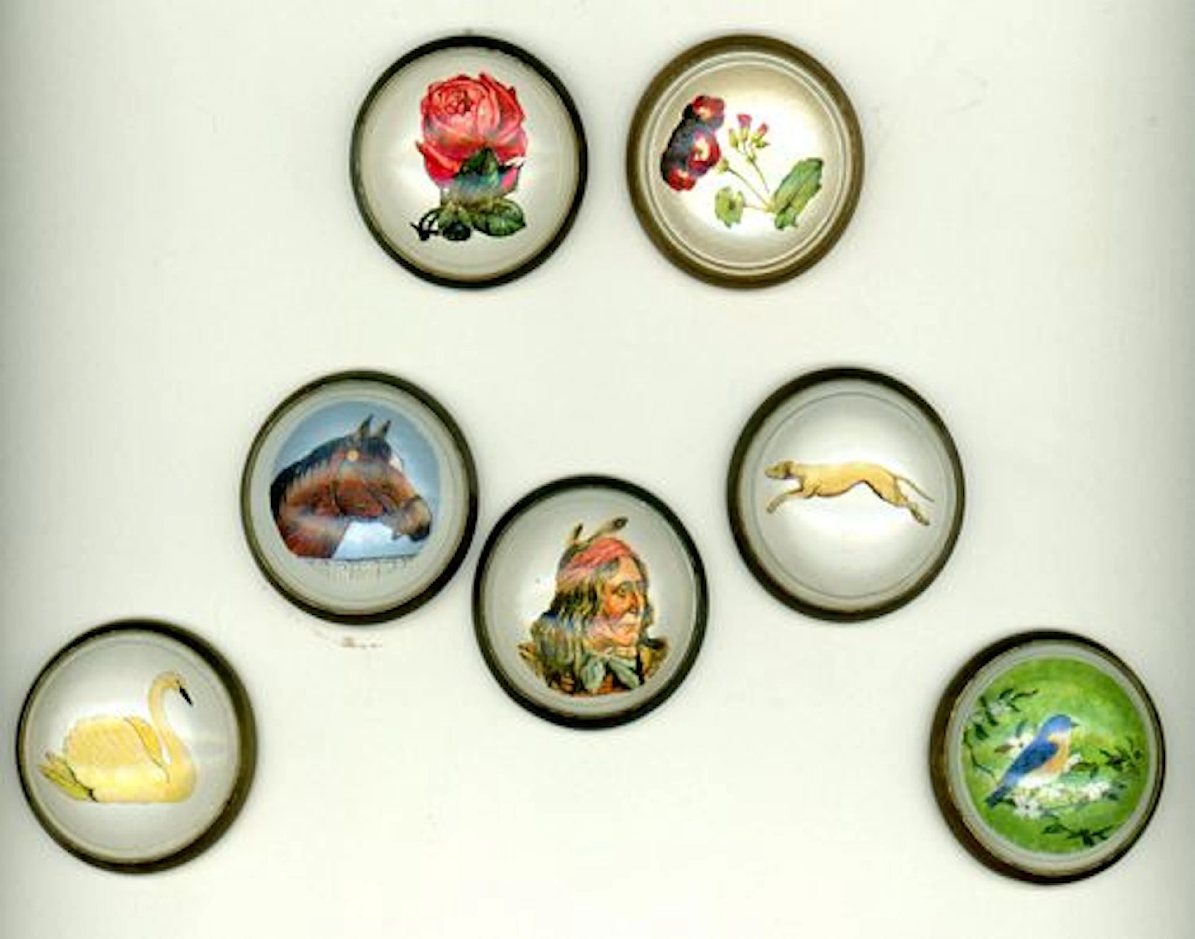 A PARTIAL CARD OF DIVISION ONE BRIDLE ROSETTES