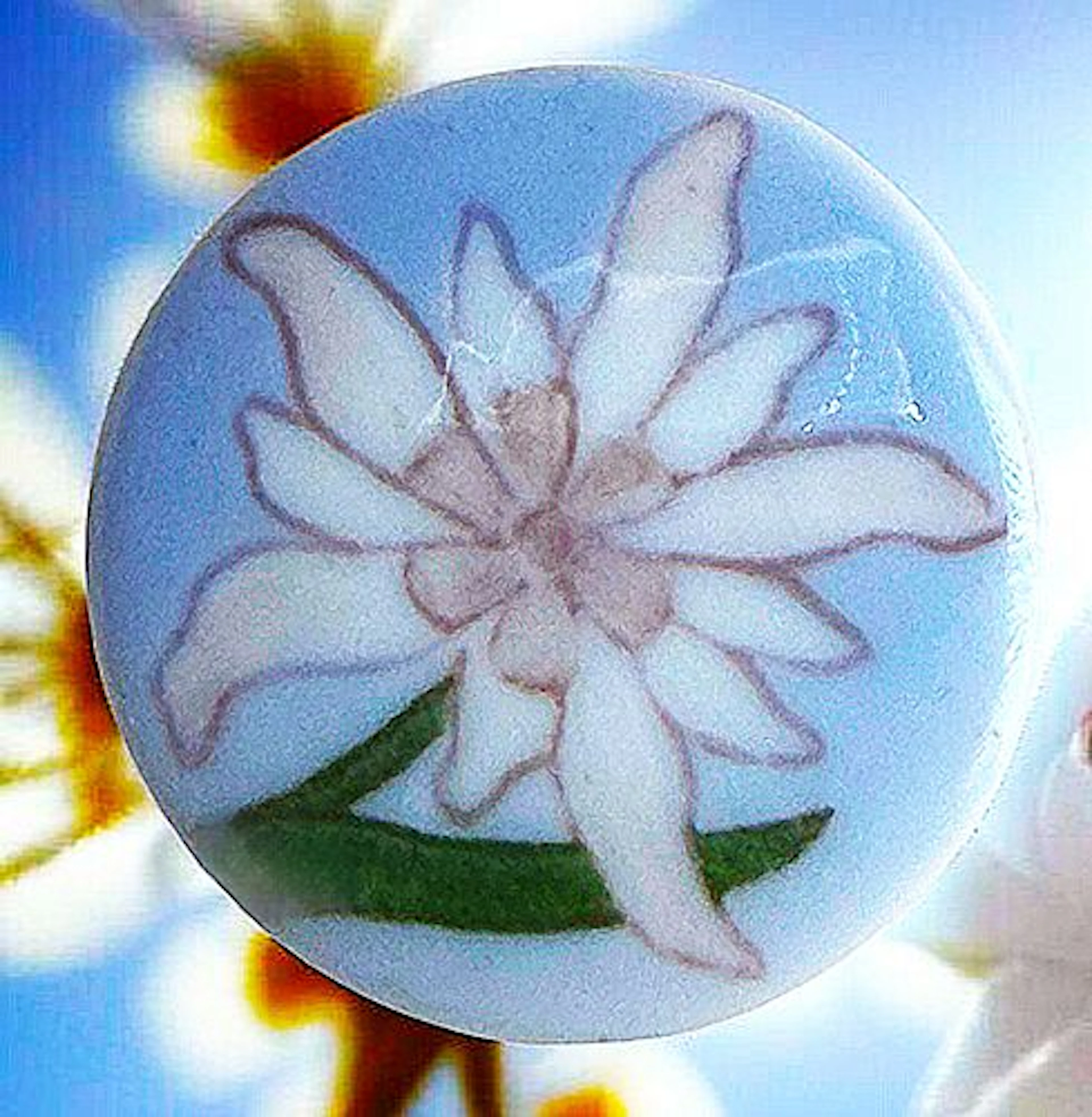 A DIVISION ONE PICTORIAL PORCELAIN BUTTON