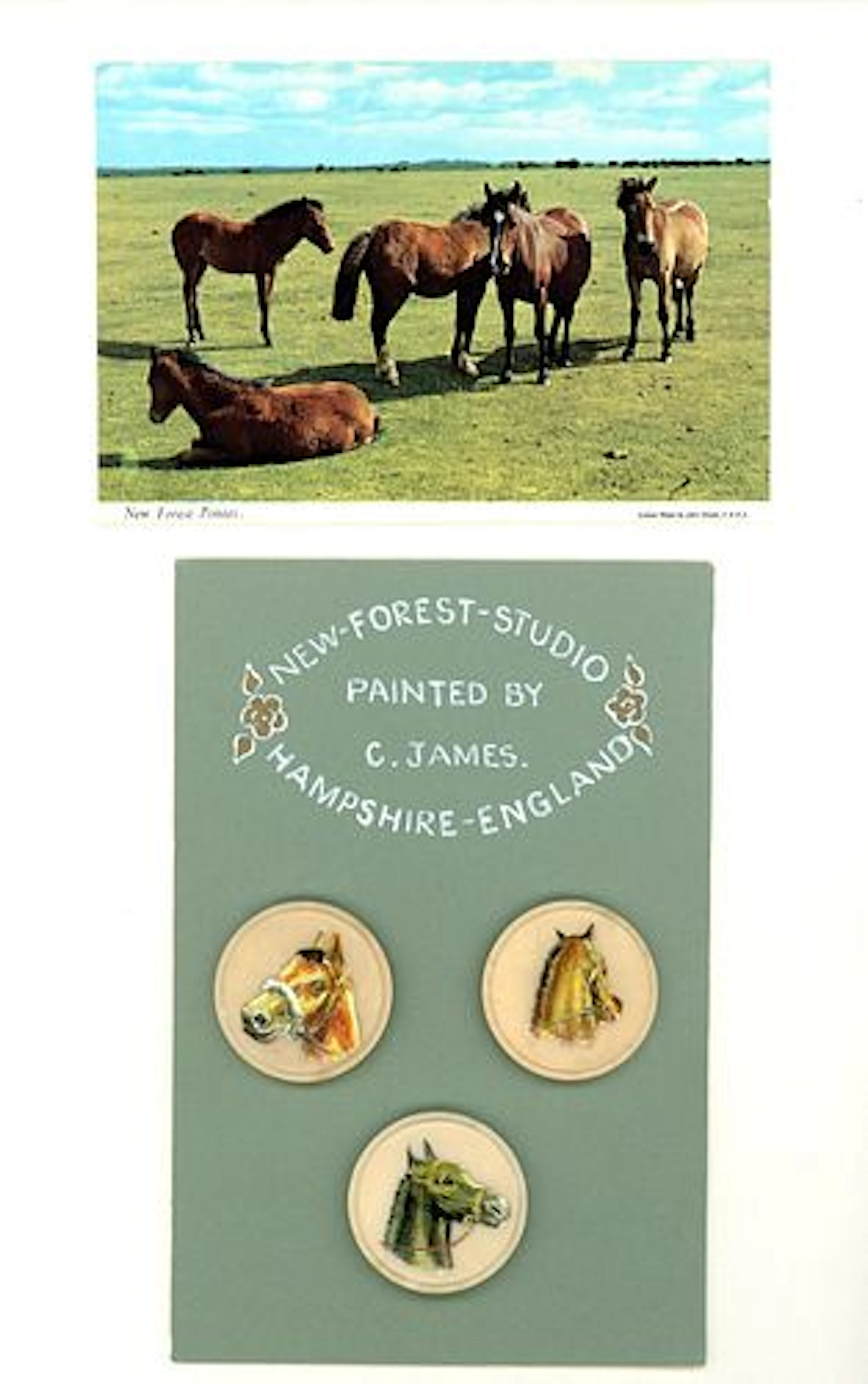 A SELECTION OF HAND PAINTED HORSE BUTTONS