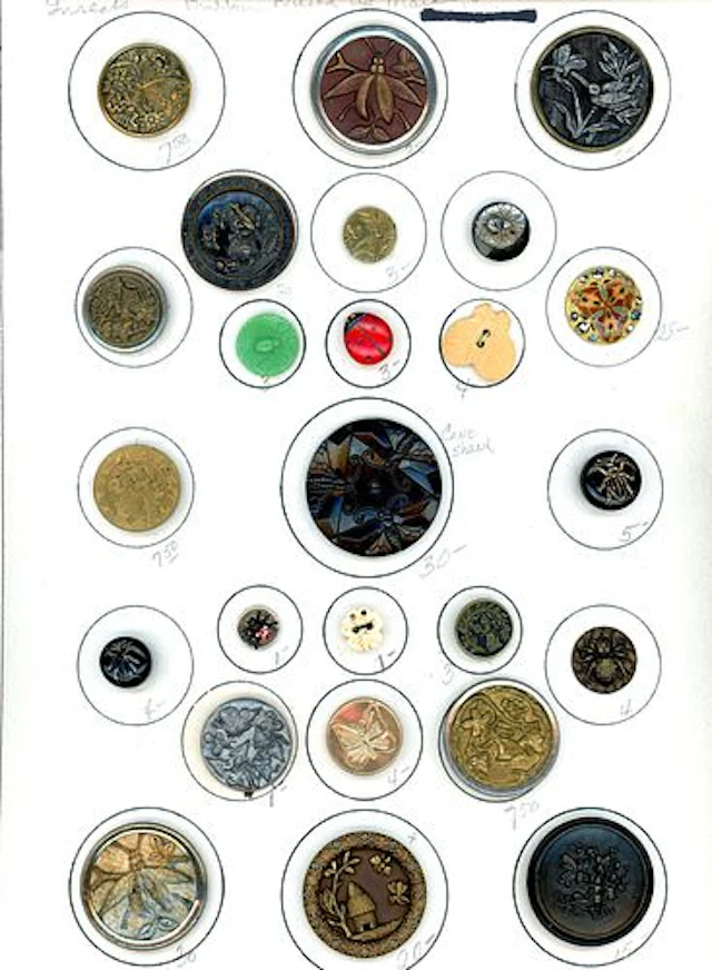A CARD OF DIVISION ONE AND THREE INSECT BUTTONS