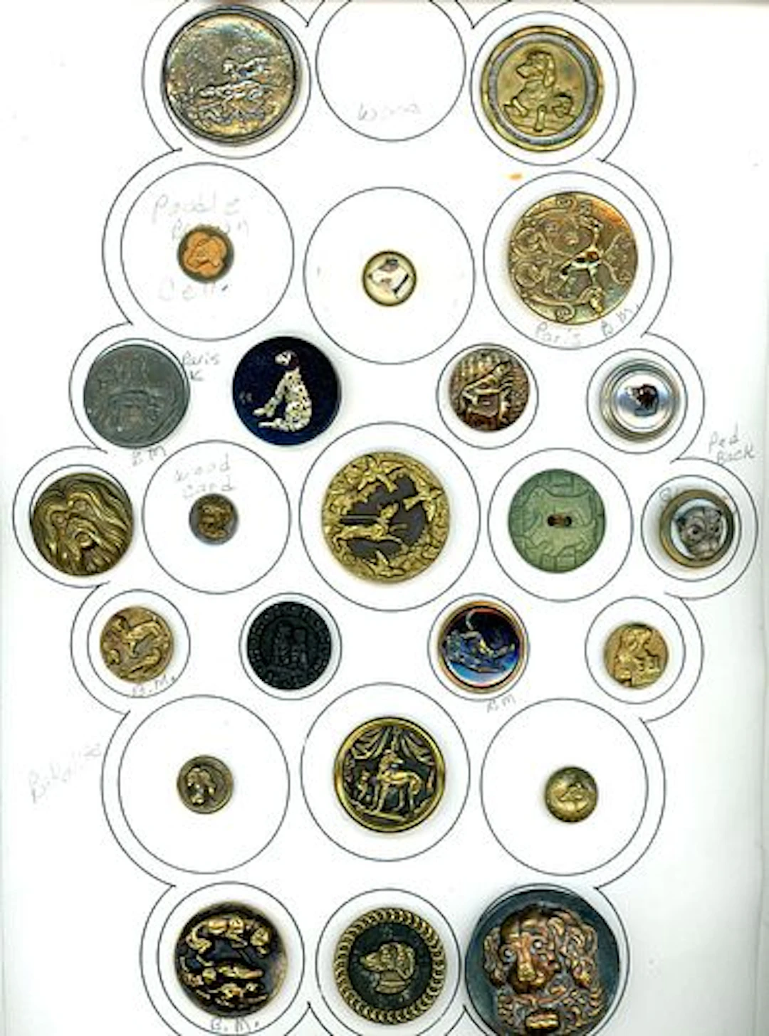 A CARD OF DIVISION 1 & 3 DOG BUTTONS