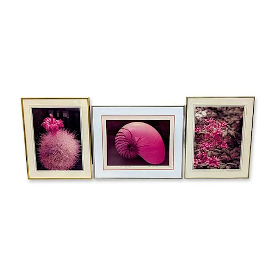 3pc Bruce Flashnick (American, 20th-21st Century) Chromogenic Photographs