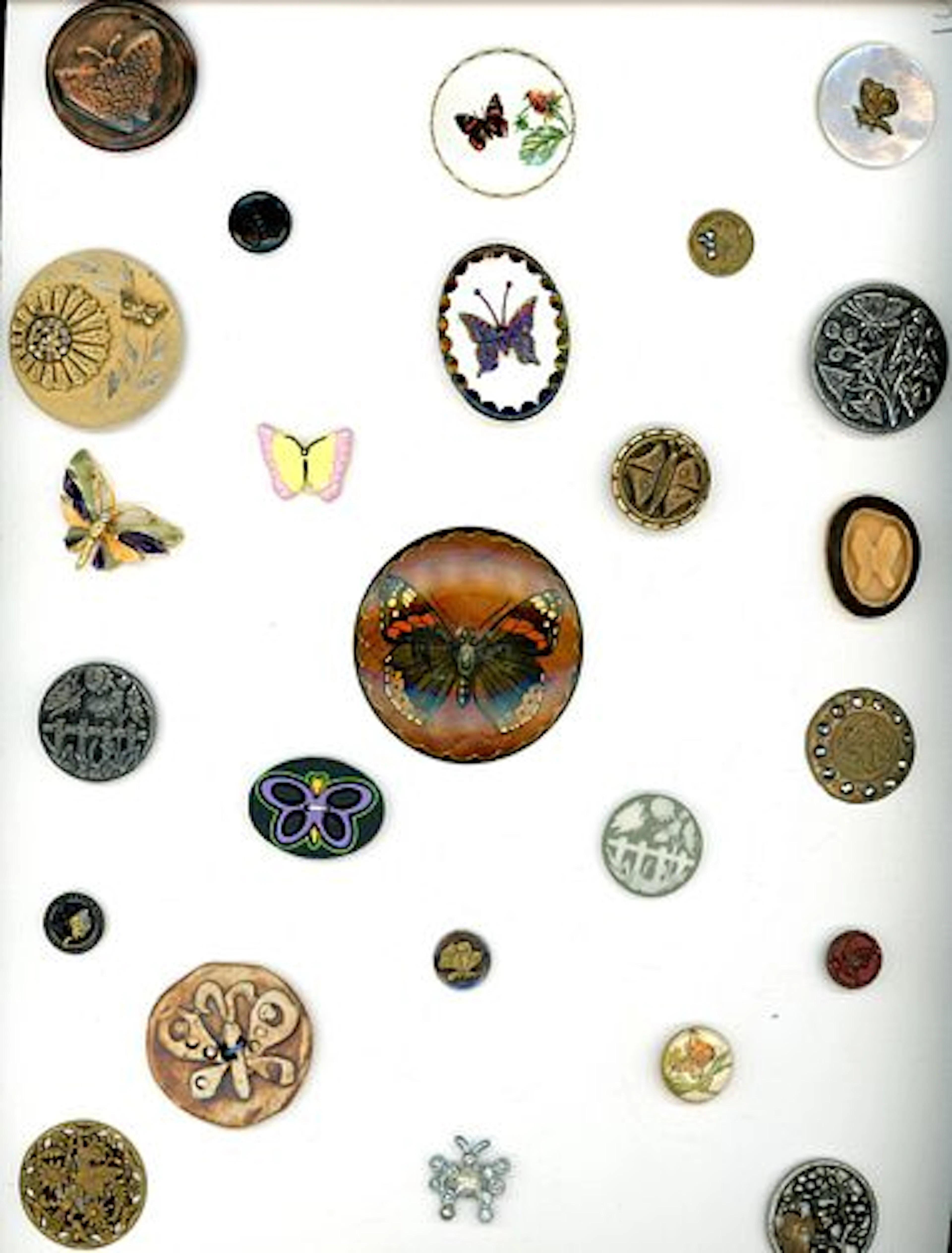 A CARD OF DIVISION 1 & 3 BUTTERFLY BUTTONS