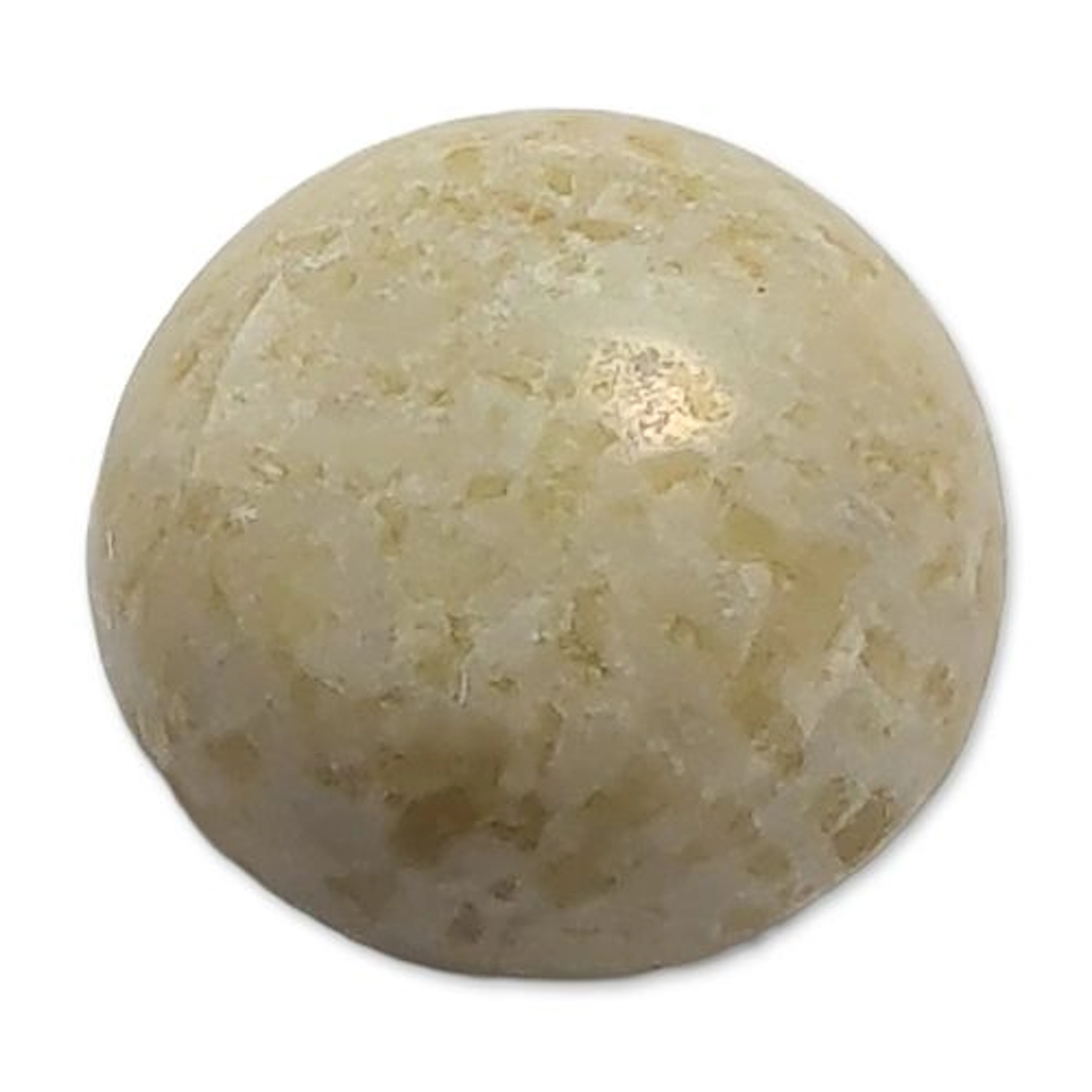 Fossilized Agatized Coral Round Cabochon