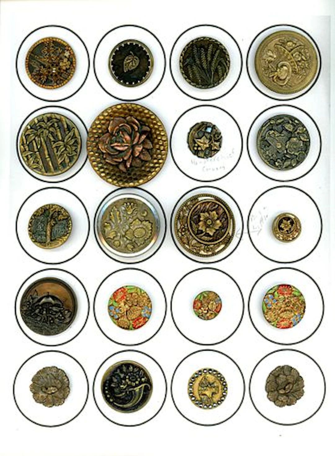 A CARD OF DIVISION ONE PLANT LIFE BUTTONS