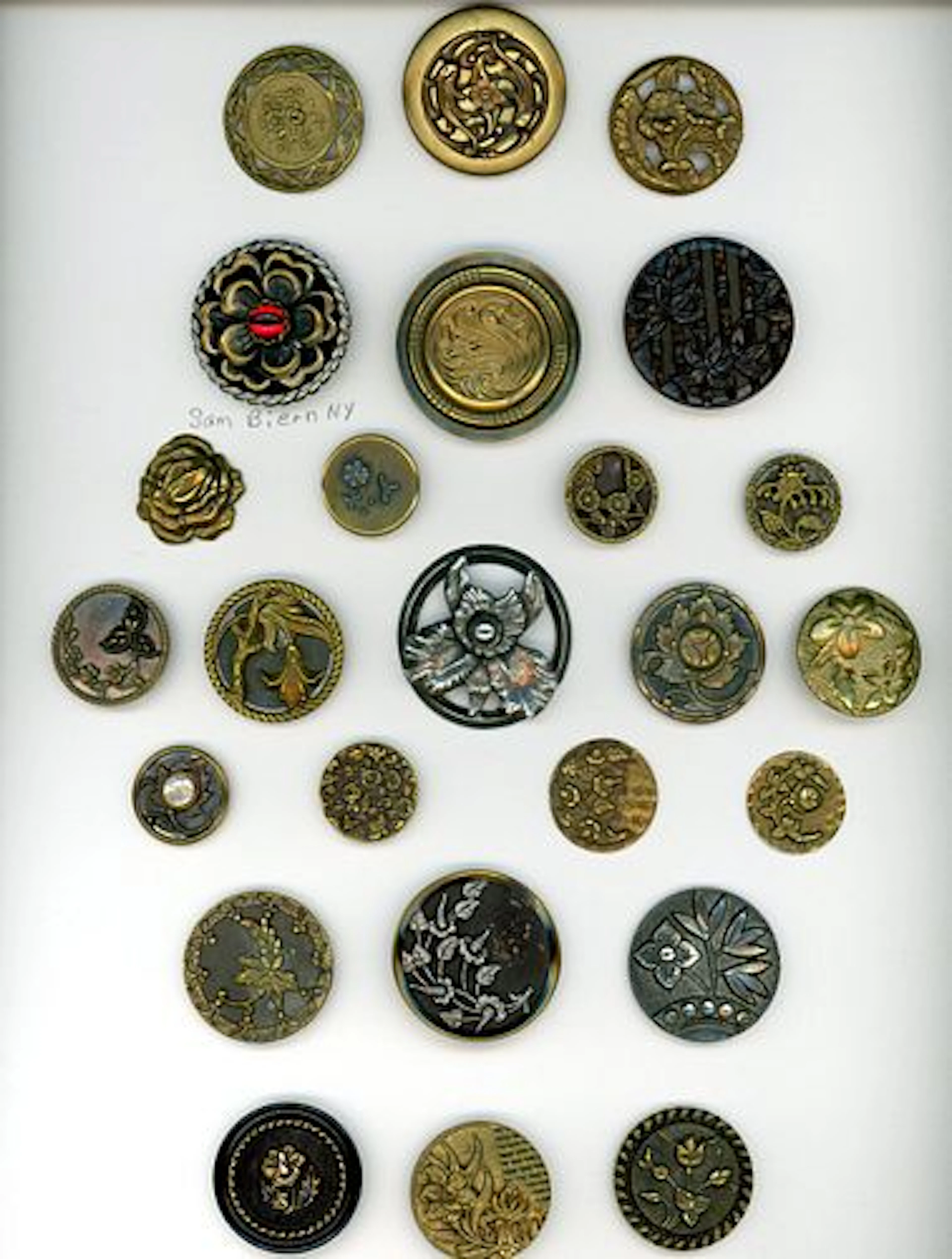 A CARD OF DIVISION ONE PLANT LIFE BUTTONS