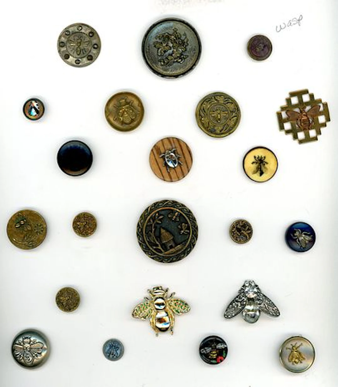 A CARD OF DIVISION ONE AND THREE INSECT BUTTONS