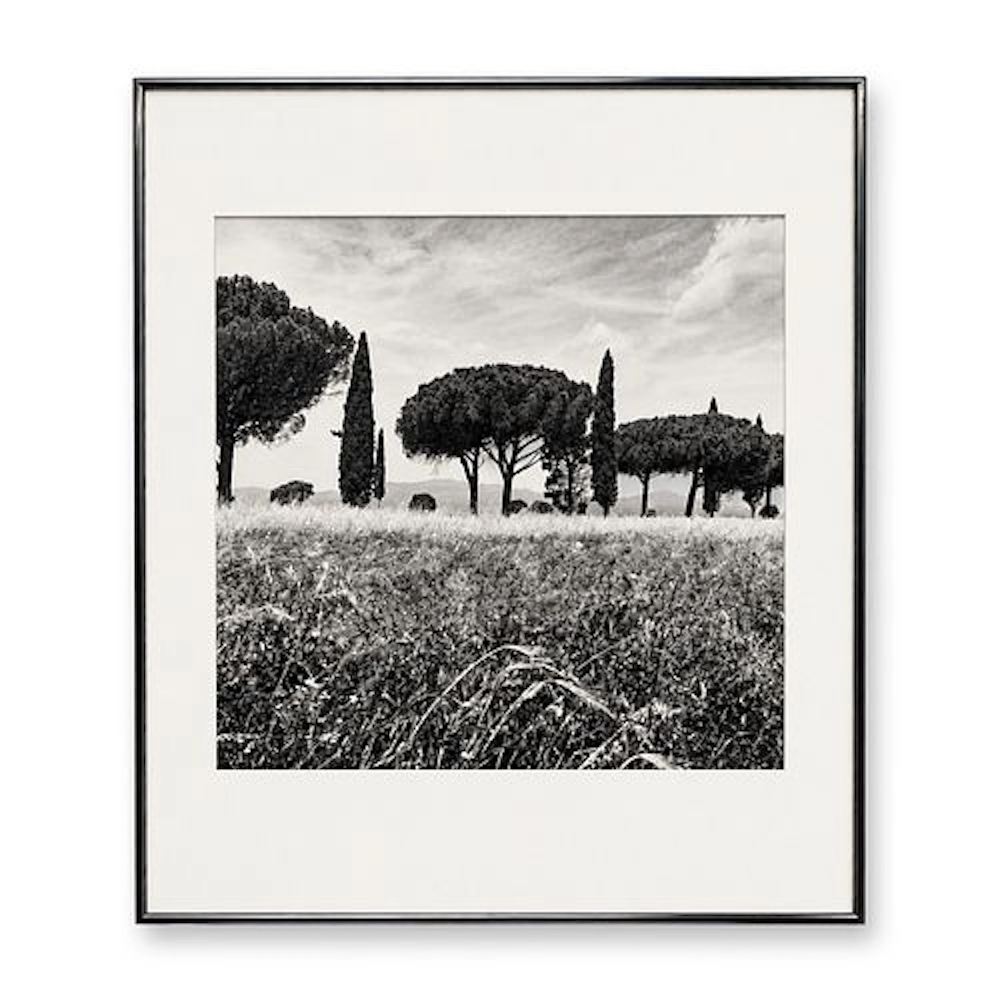 Paul Petricone (American, 1922-1988) Black and White Photograph, Grosseto