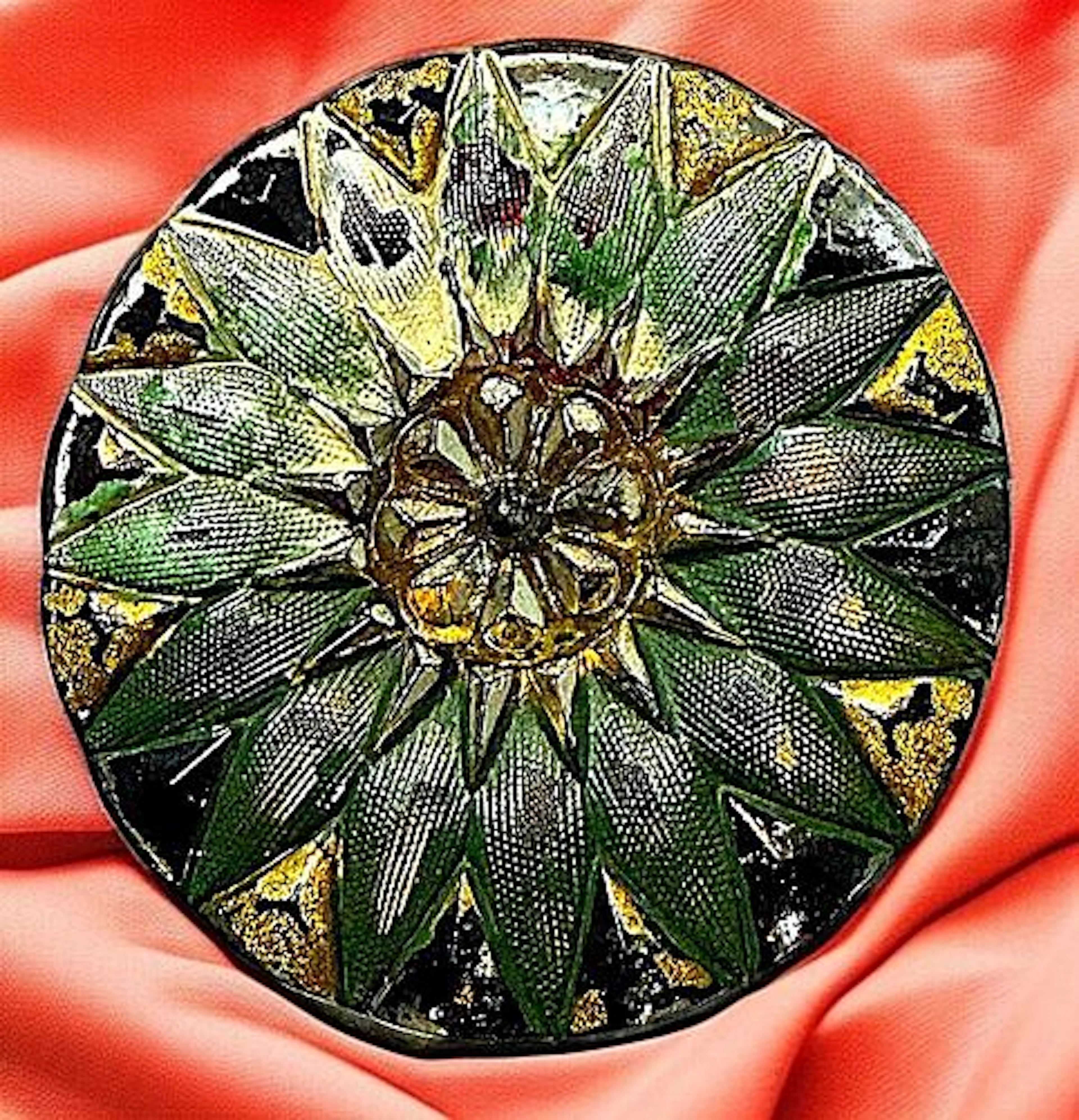 A DIVISION ONE CZECH REPUBLIC GLASS BUTTON