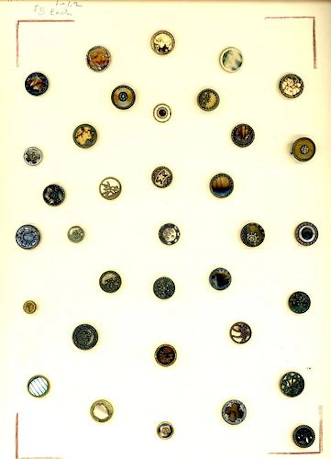 A CARD OF DIVISION ONE VICTORIAN CELLULOID BUTTONS