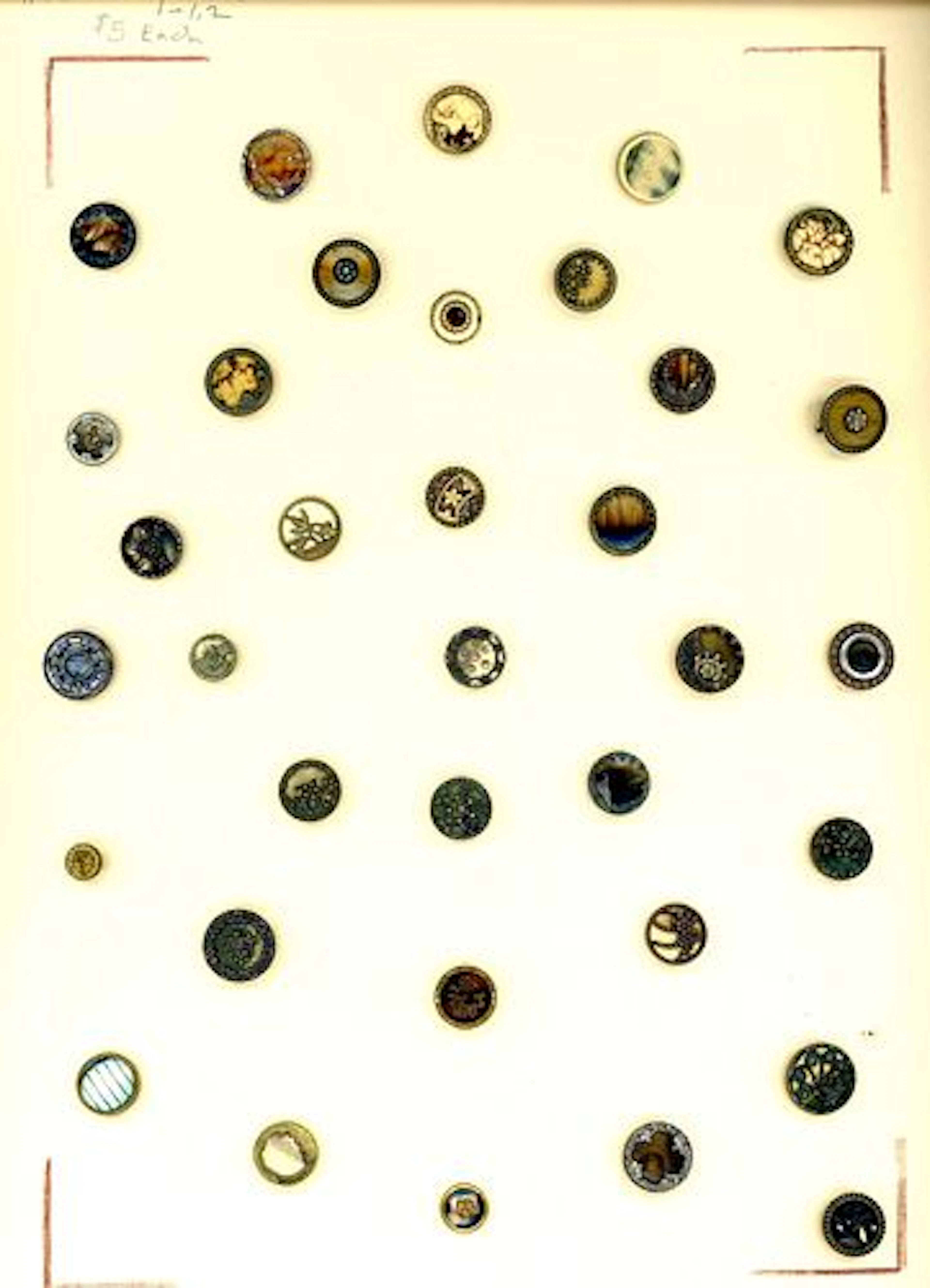 A CARD OF DIVISION ONE VICTORIAN CELLULOID BUTTONS