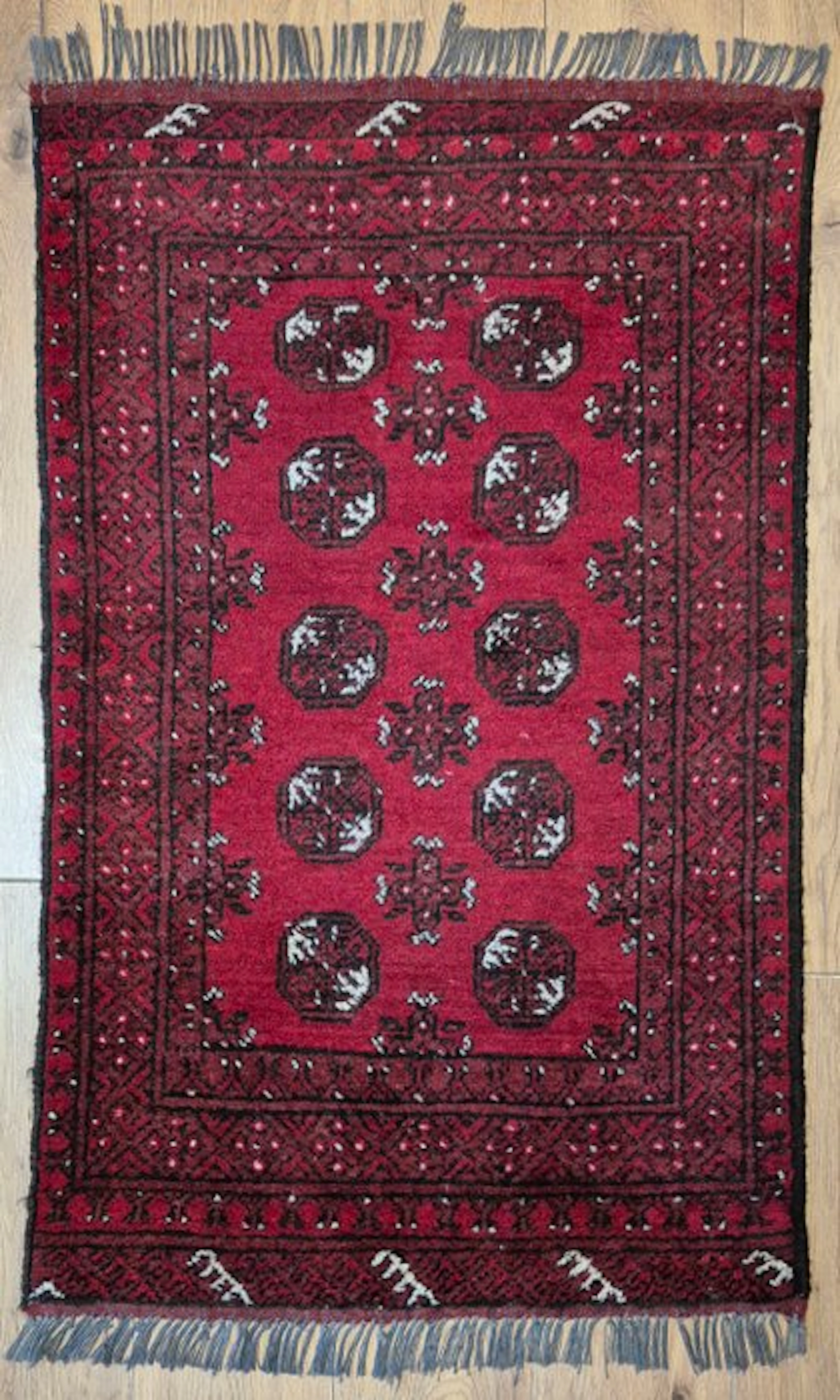 Fine Afghan Mauri Oriental rug with classic Gul motifs. - Rug - 123 cm - 75 cm