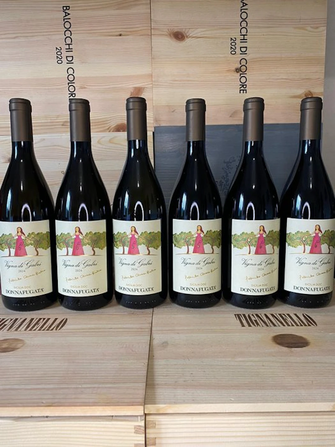 2024 Donnafugata, Vigna di Gabri - Sicilia DOC - 6 Bottles (0.75L)