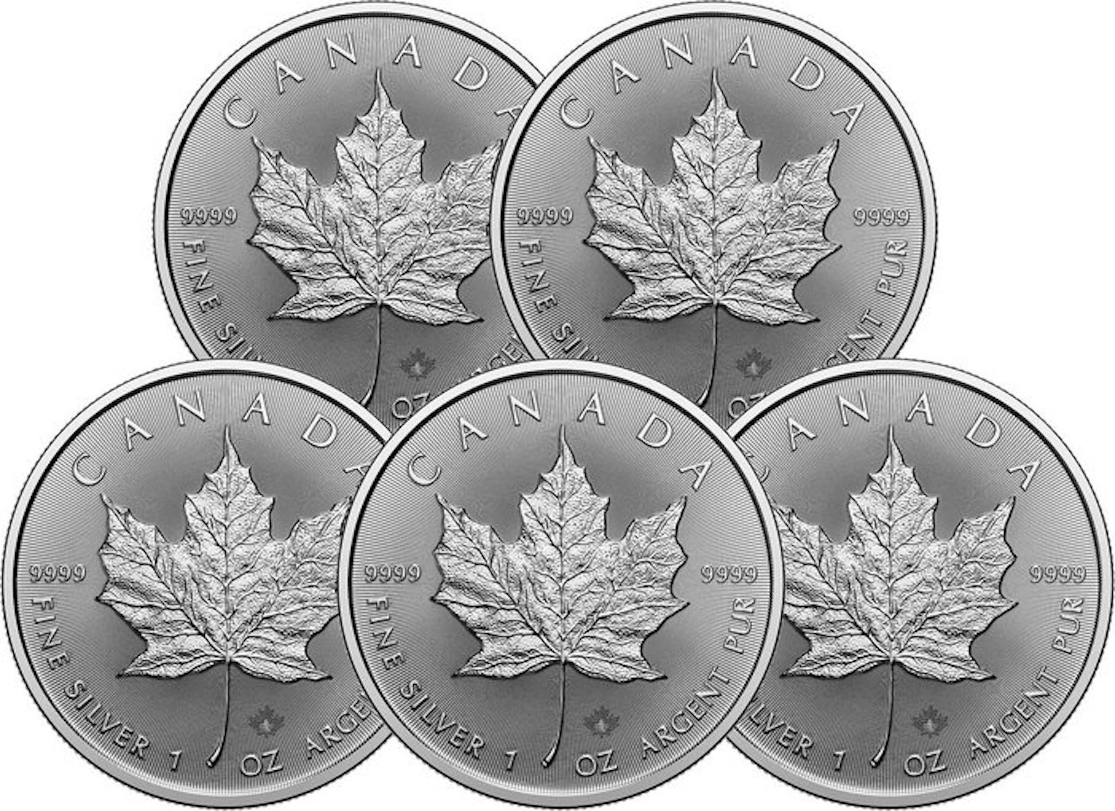 5 Troy Ounce - Silver .999 - Maple Leaf 2026 - 155,5 gram - fine silver