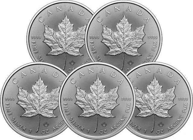 5 Troy Ounce - Silver .999 - Maple Leaf 2026 - 155,5 gram - fine silver