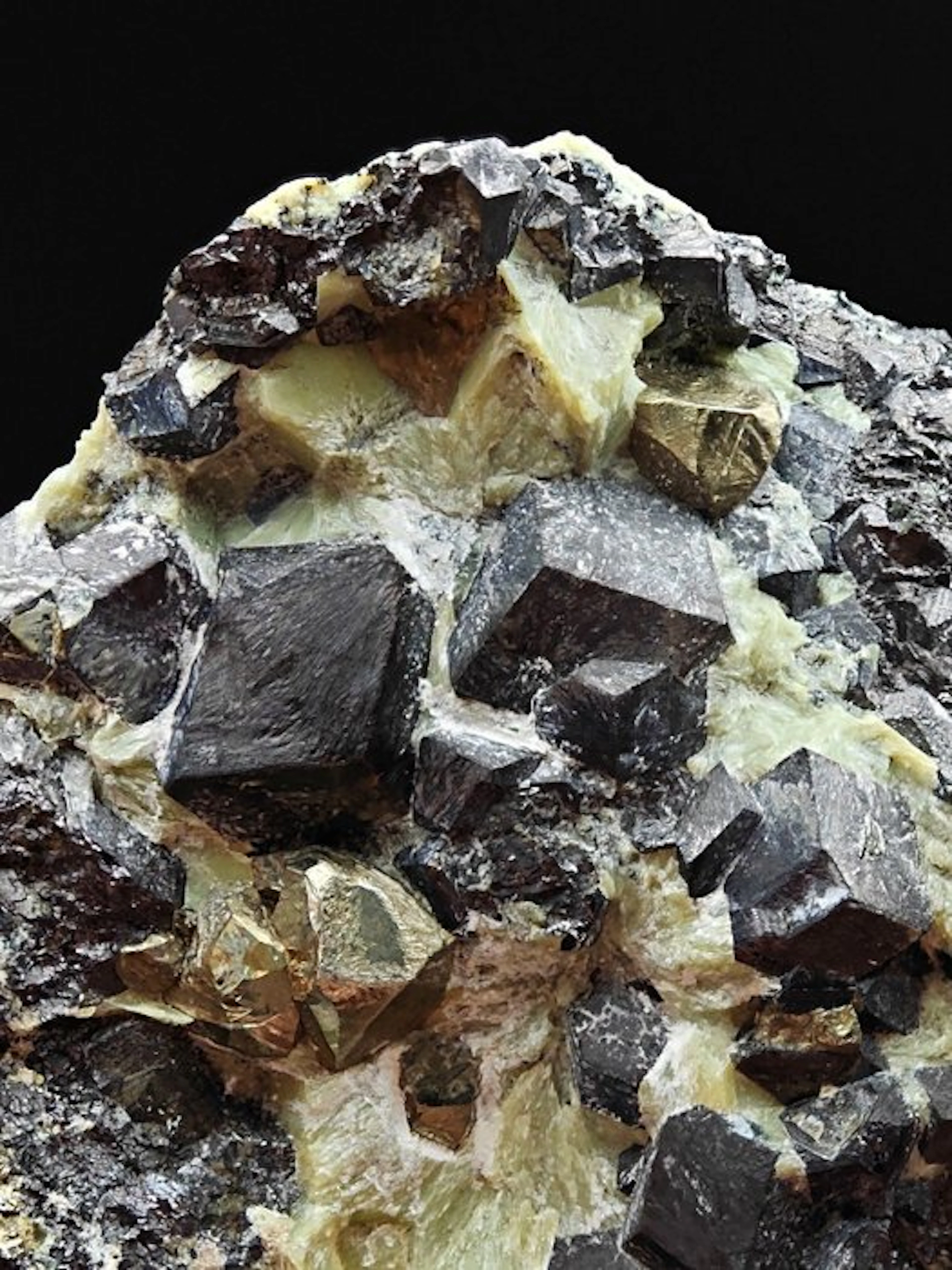 ALPINO, MAGNETITE with GOLDEN PYRITE