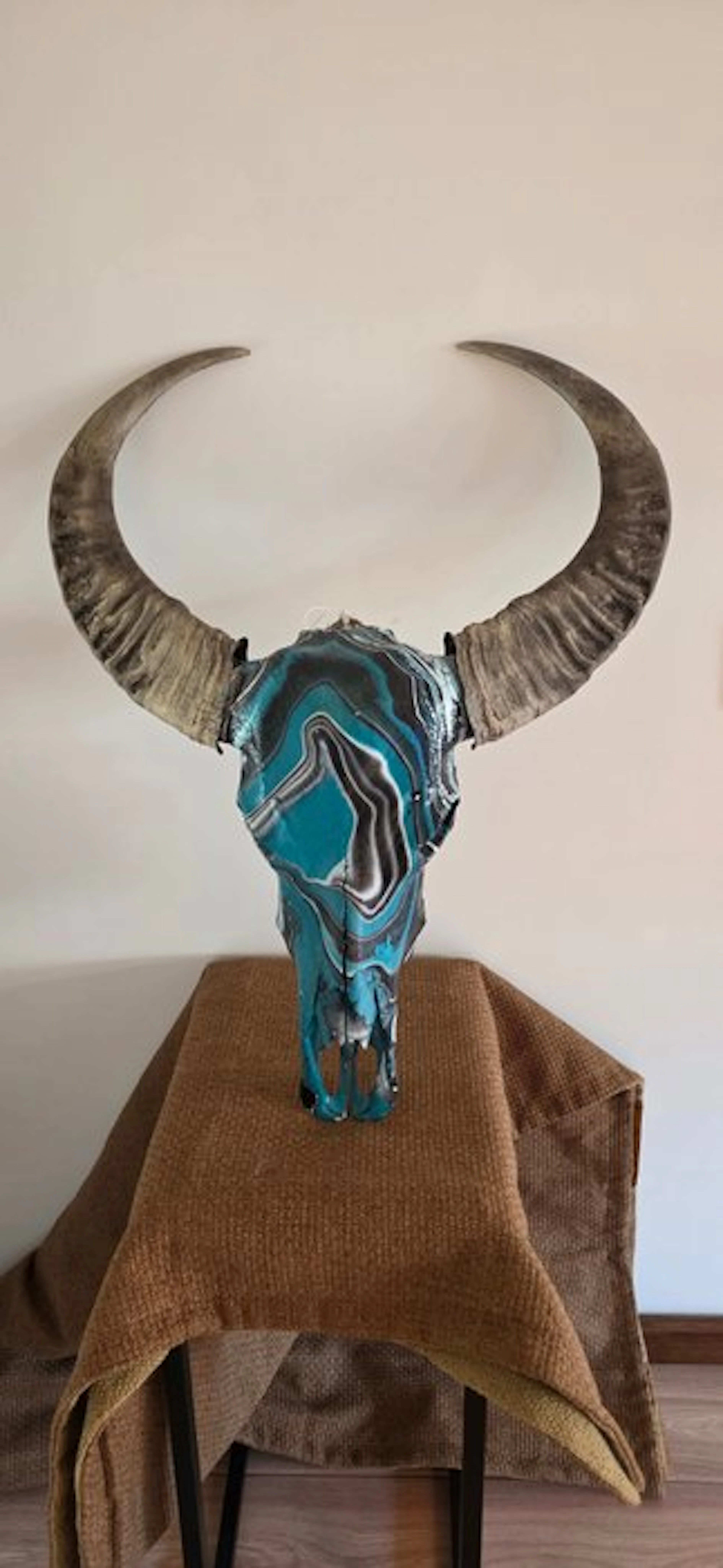Water Buffalo Taxidermy head mount - water buffalo...