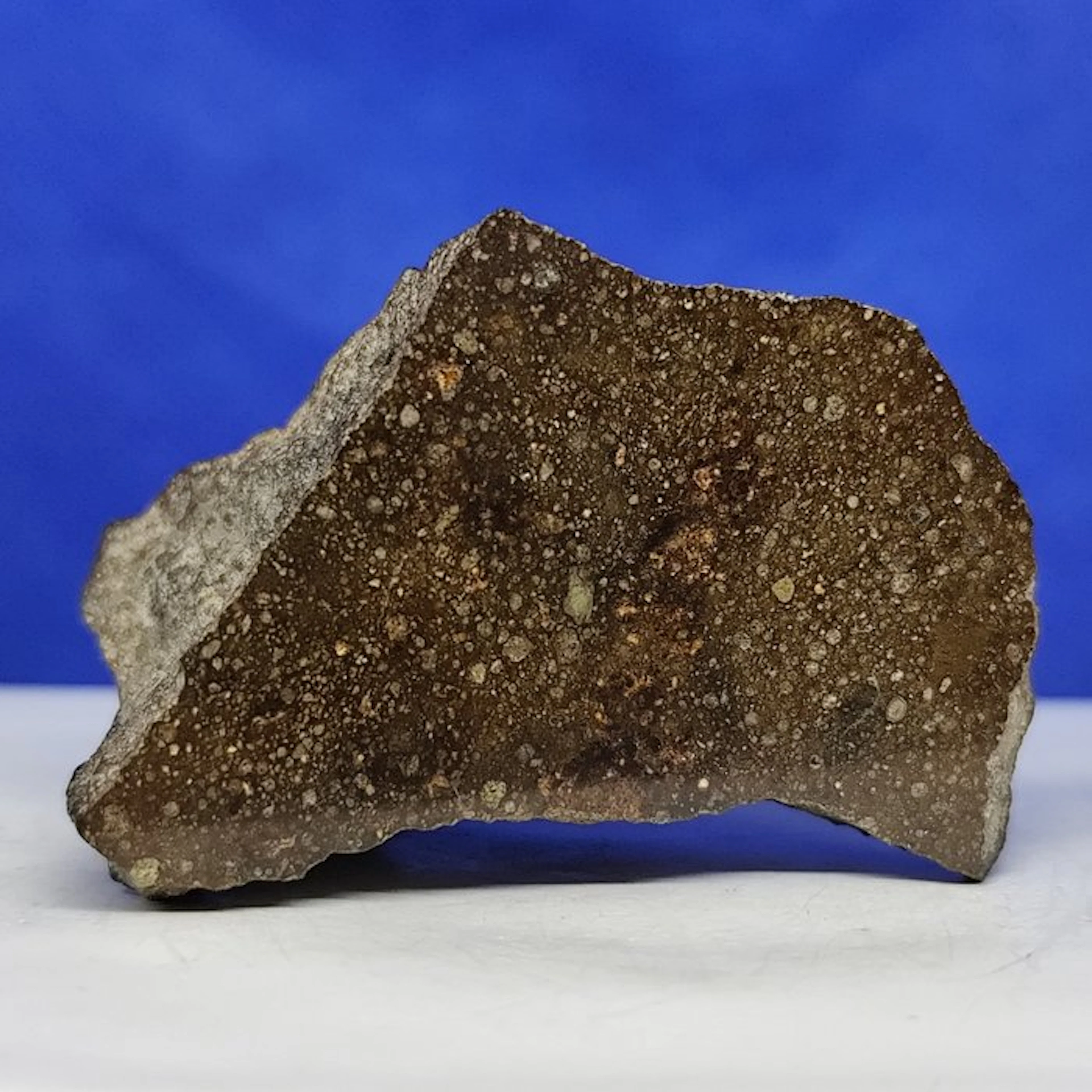 Hundreds of Chondrules