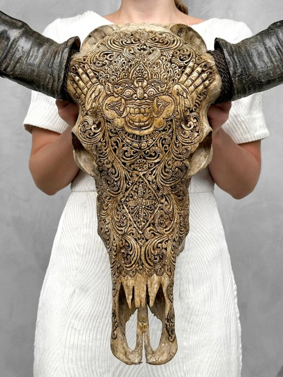 NO RESERVE PRICE - C- Authentic Large Brown Water Buffalo...