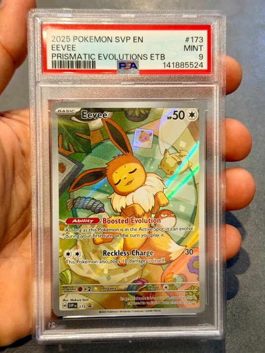 cases for graded cards Vaulted Card Case (4-Row)