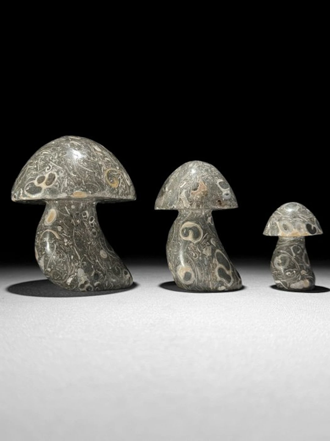 Set of 3 Hand-Carved Turritella Mushrooms Sculpture...