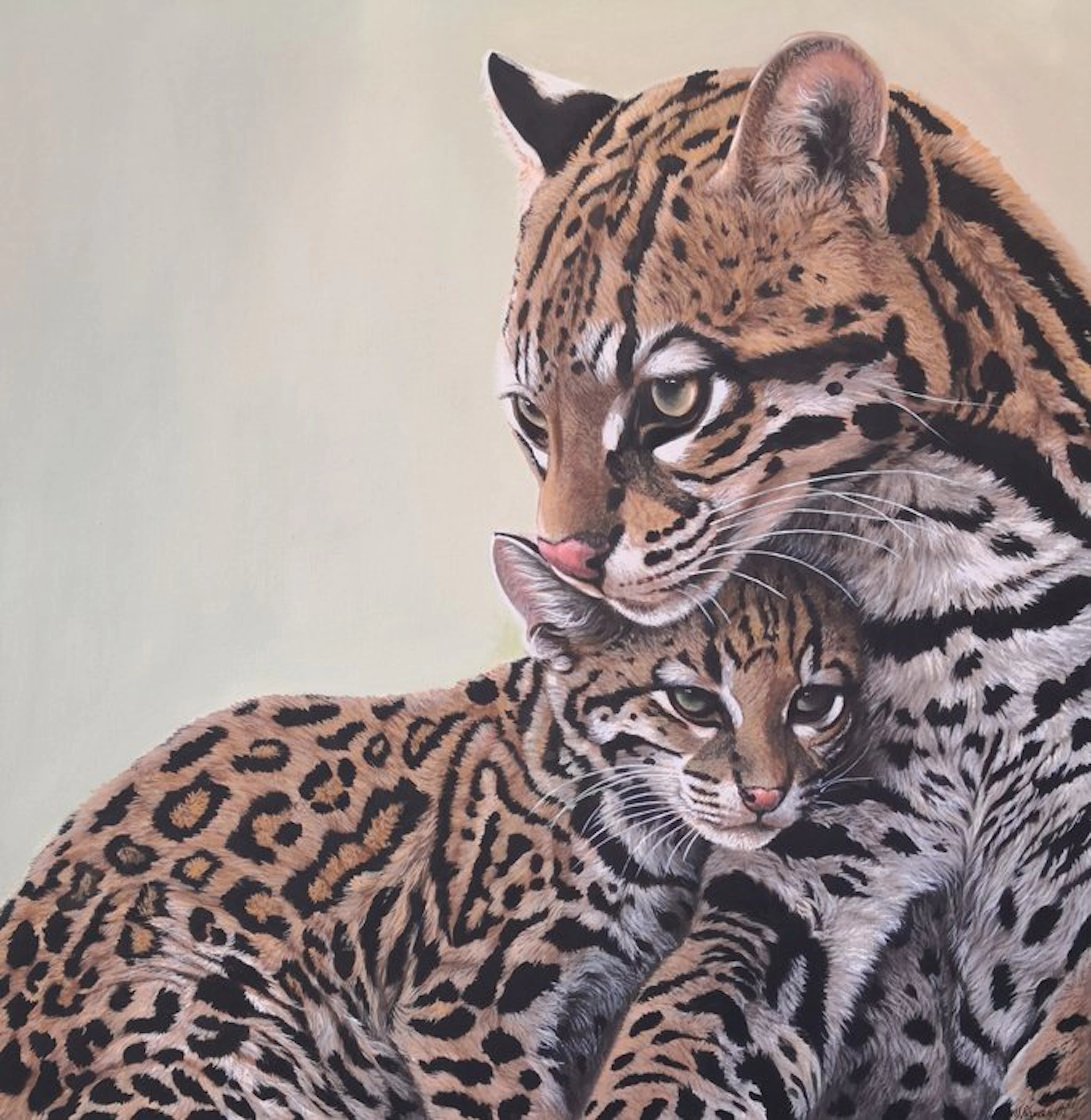 Donatella Ramazzotti - Ocelot