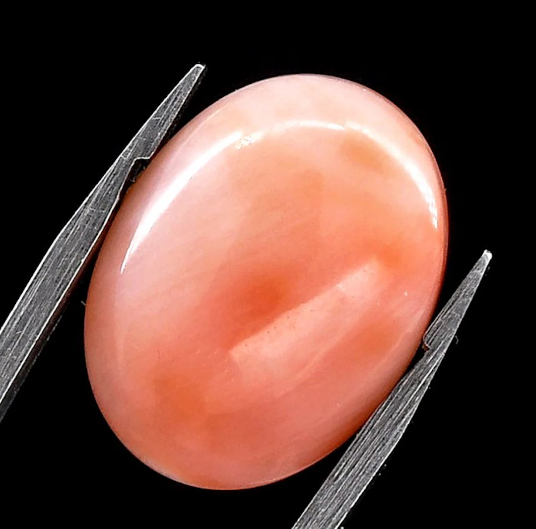 Beautiful cabochon of deep pink natural coral - Height...