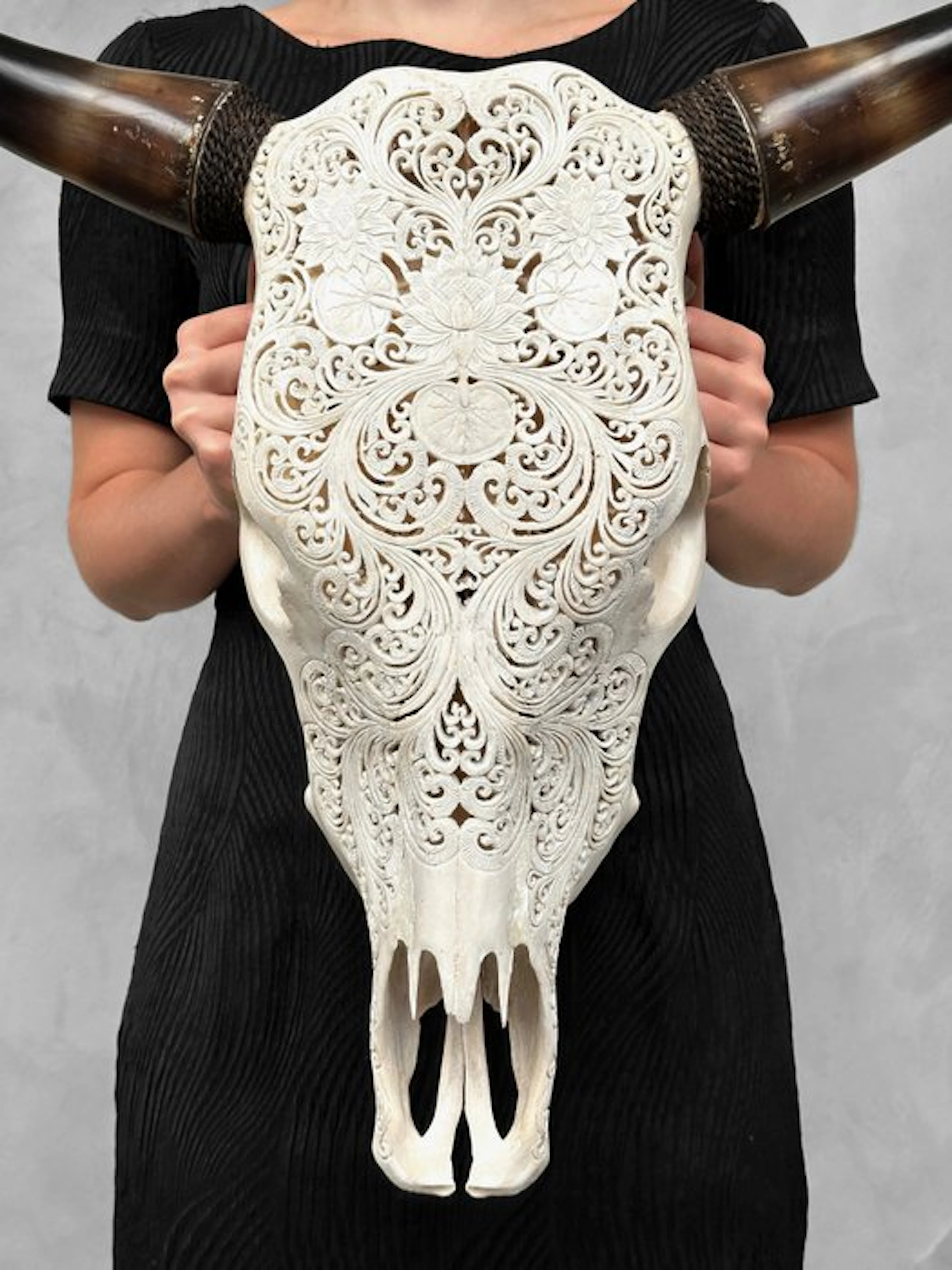 NO RESERVE PRICE -Authentic White Hand-Carved Bull Skull...