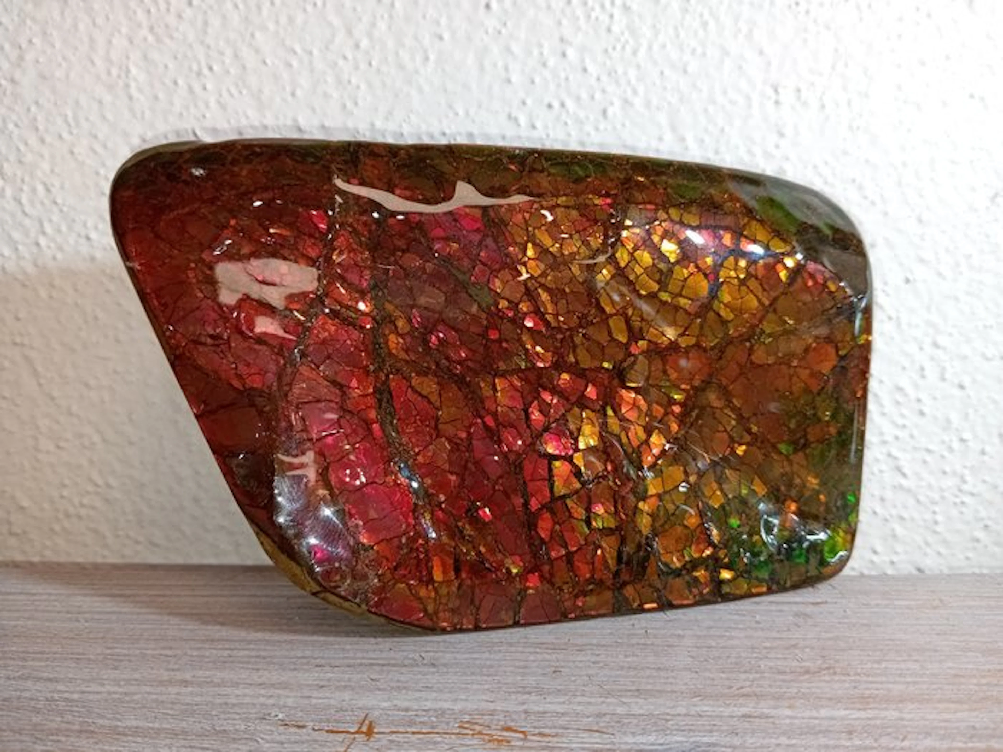Ammolite Freeform - Height: 15 cm - Width: 9 cm- 750 g - (1)