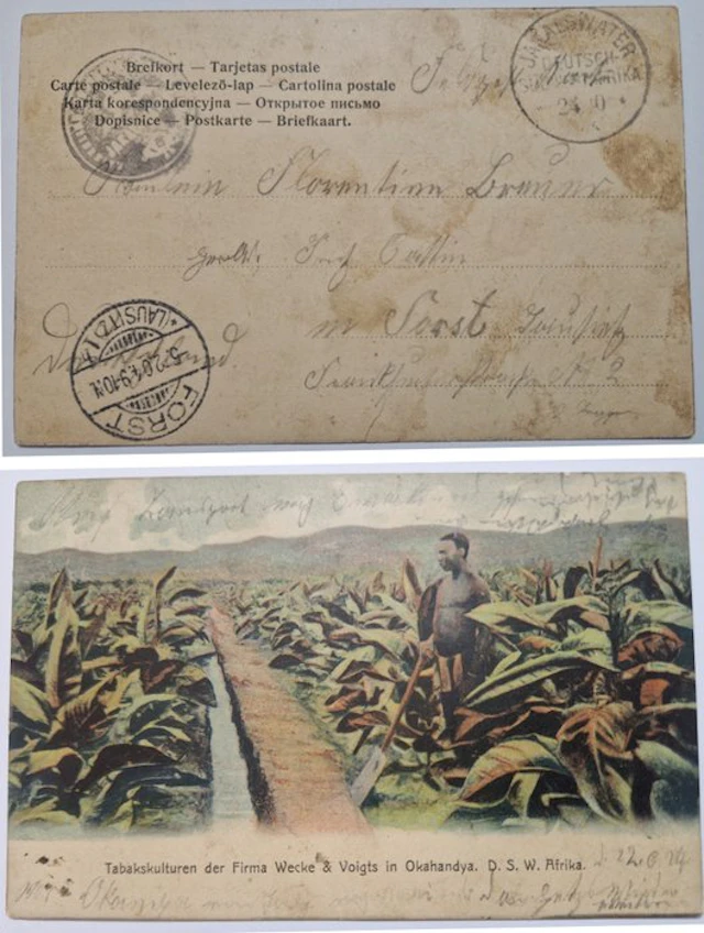 German South West Africa 1904/1904 - AK Colonial Field...