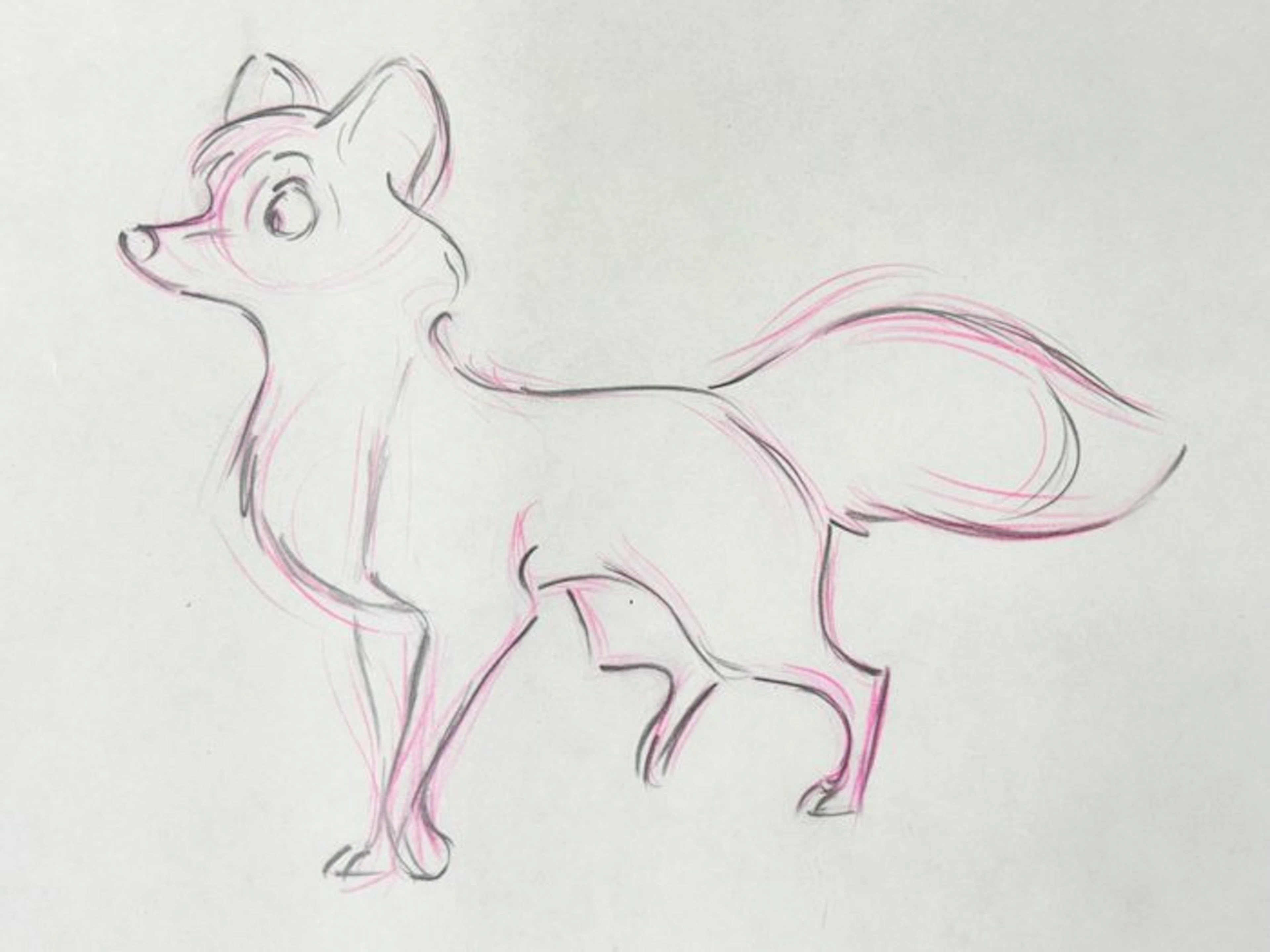 Walt Disney Rare Tod Pan Animation Drawing (79x32cm