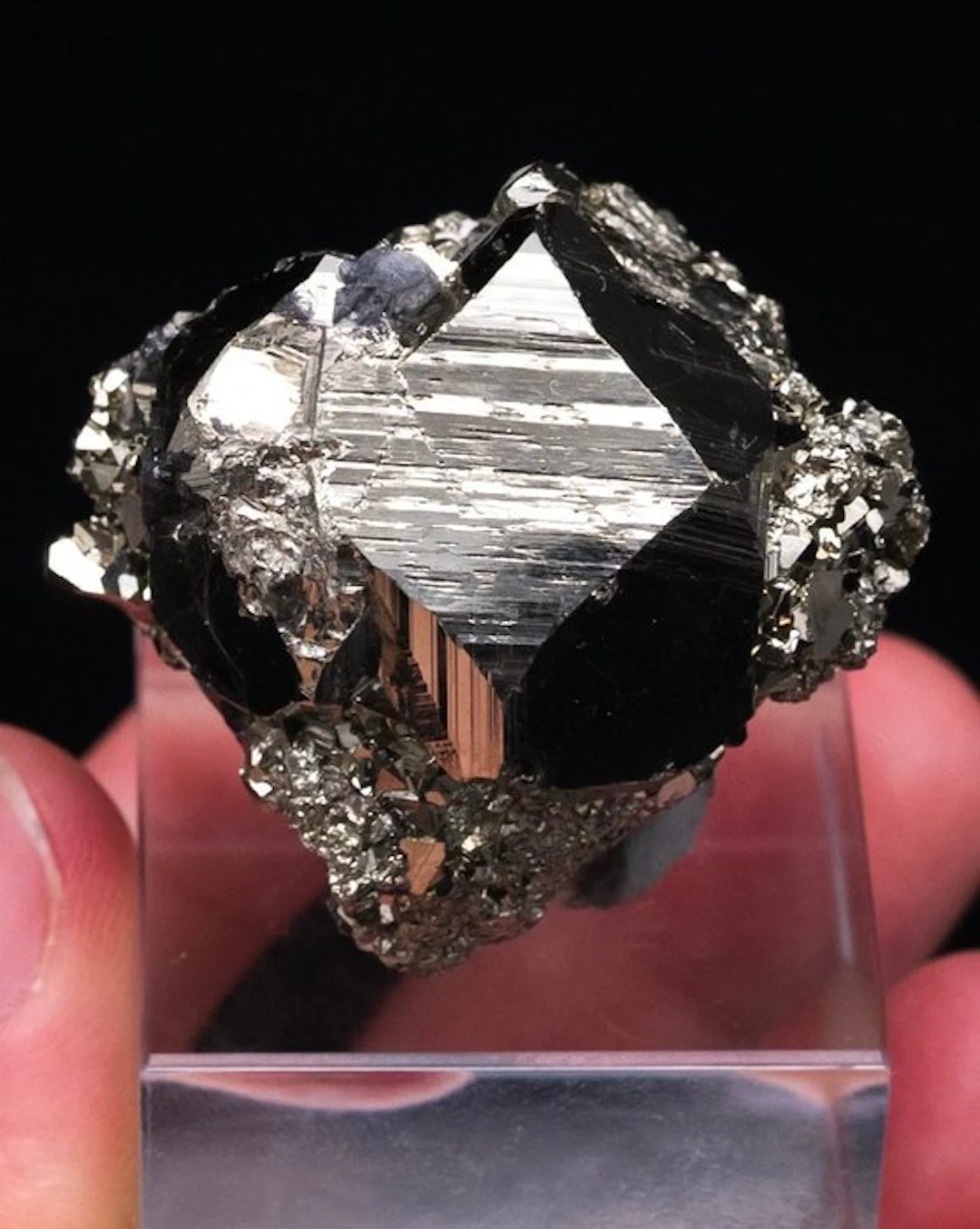 (PERUVIAN CLASSIC) GOLDEN PYRITE Specimen - Height: 3.6...