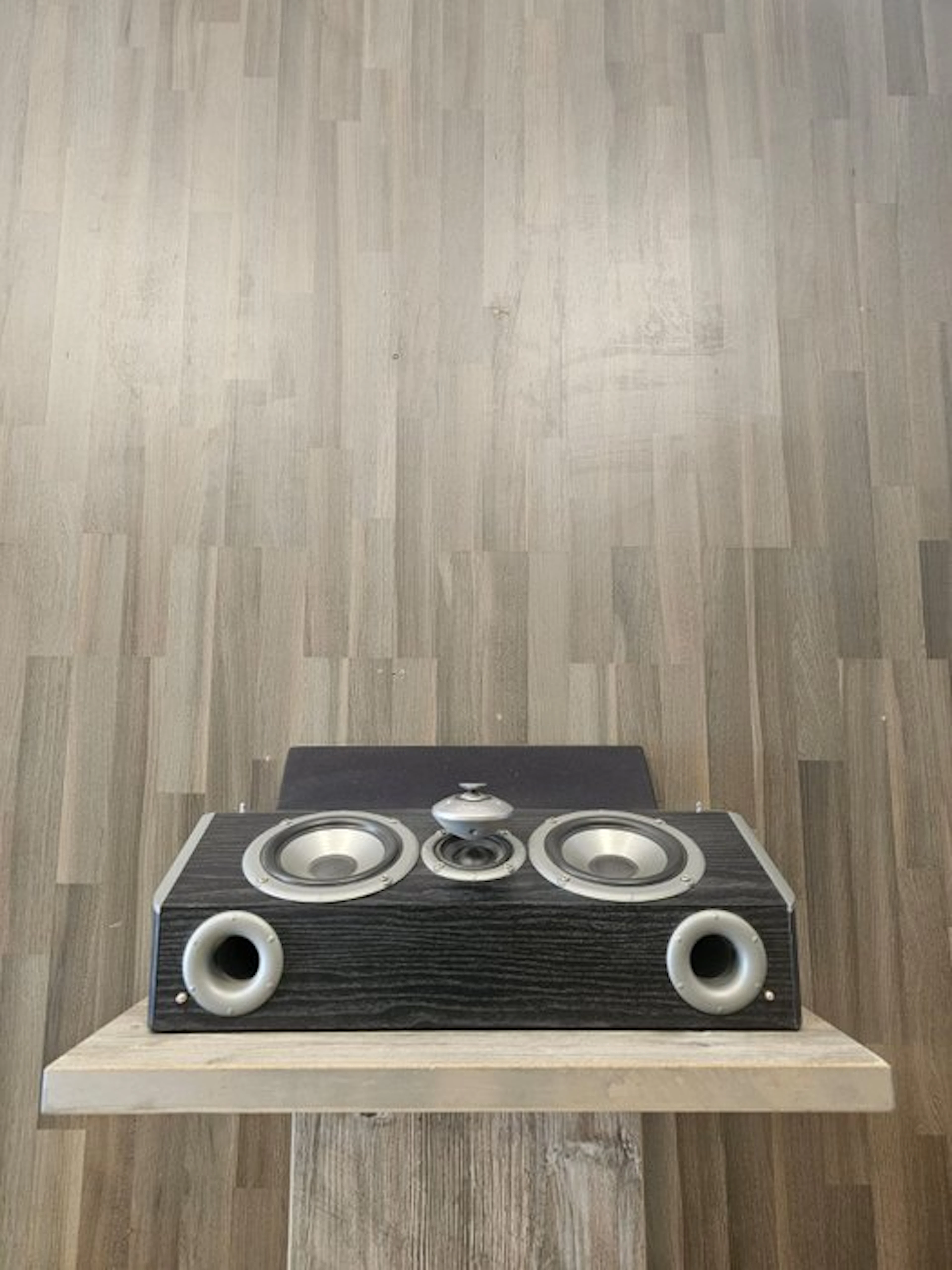 Mirage - Omni CC / 3-Way Omnipolar Center Channel Speaker