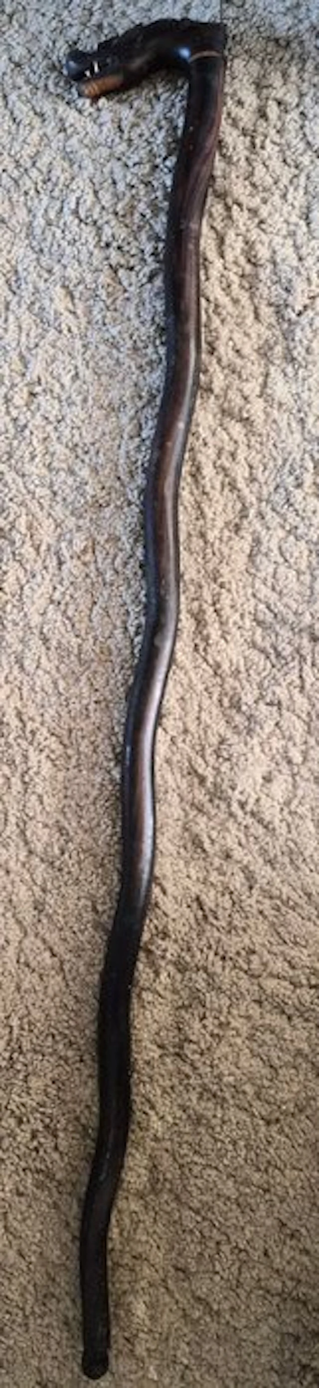 Walking stick - Horn, Wood - Hand-carved buffalo horn