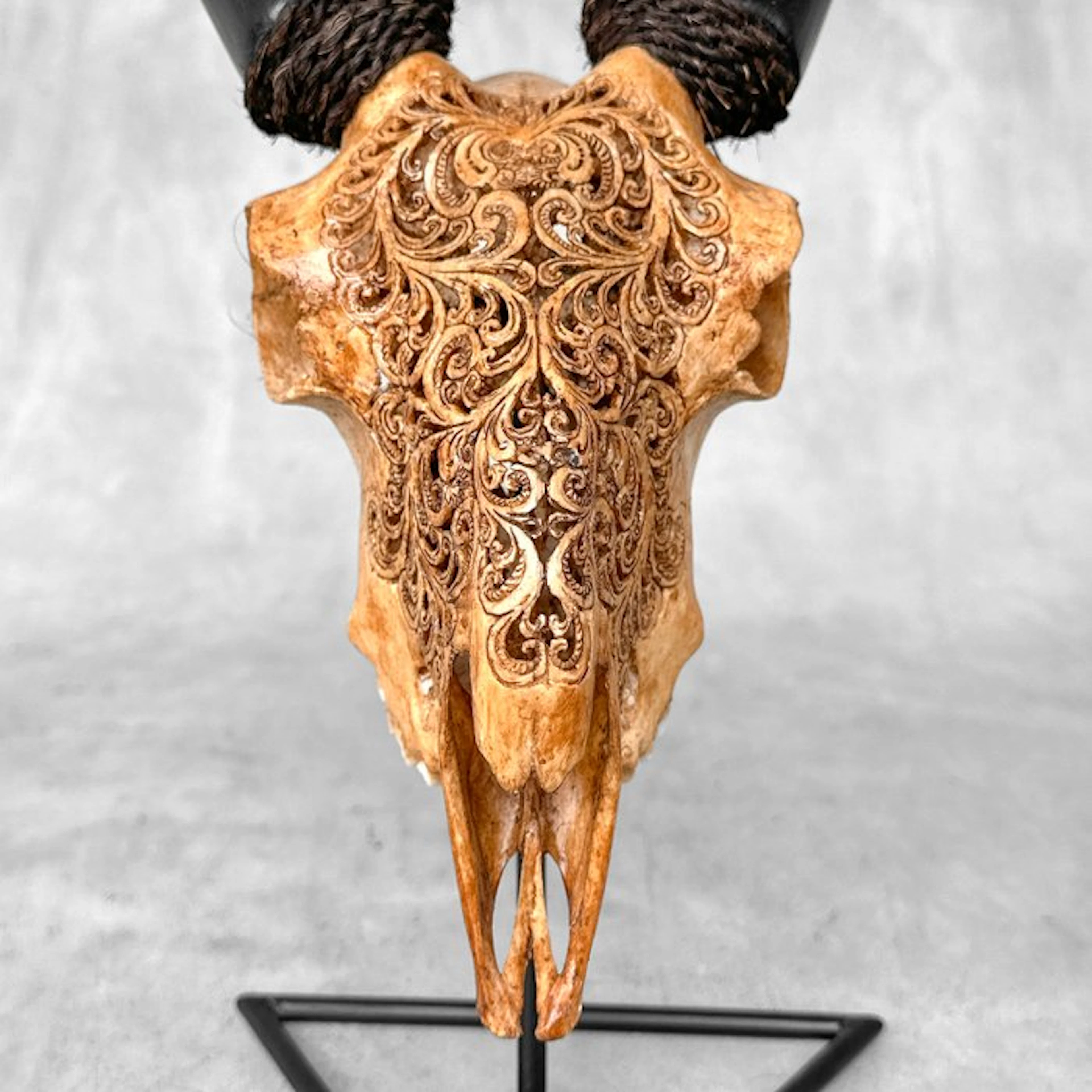 NO RESERVE PRICE - Brown Carved Goat Skull on a custom...