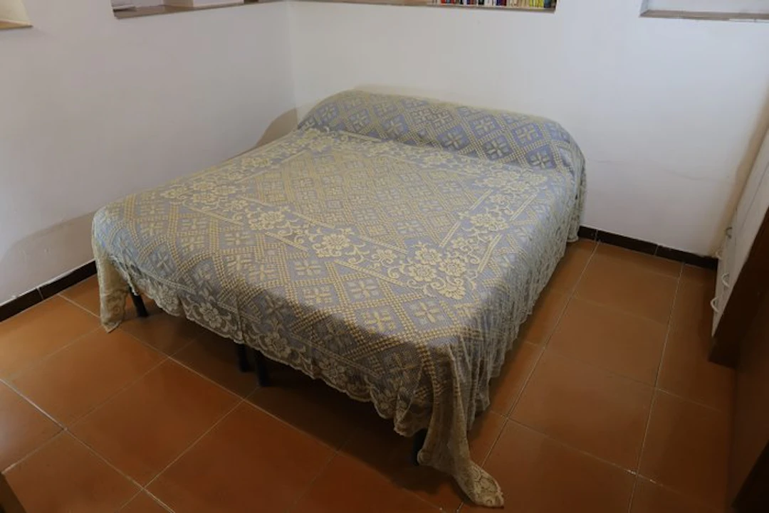 Embroidery - 230 cm - 260 cm