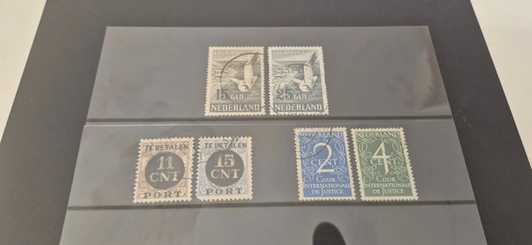 Netherlands 1924/1951 - Meeuwen, court and stamped police report