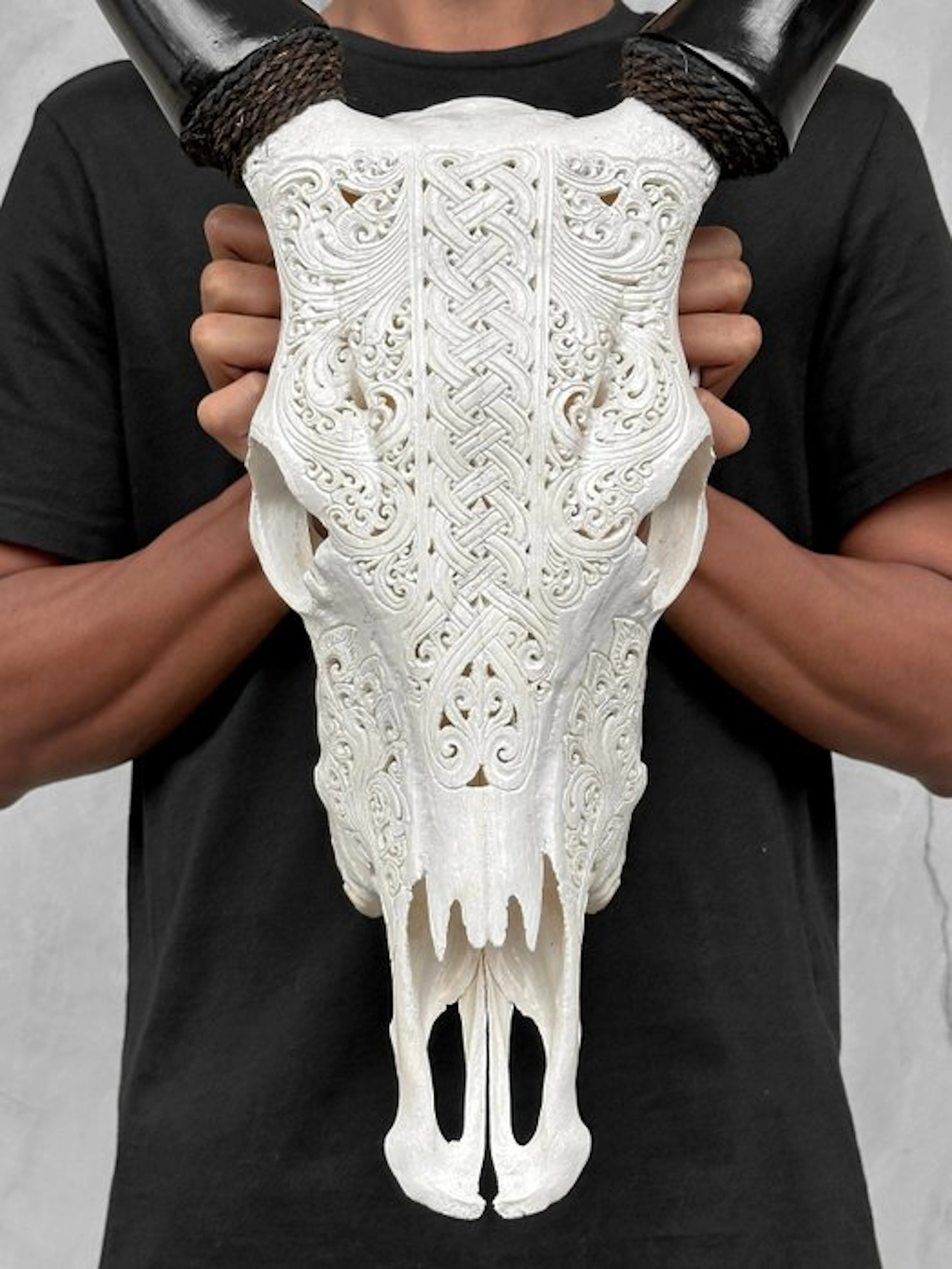 NO RESERVE PRICE - Authentic White Carved Cow Skull...